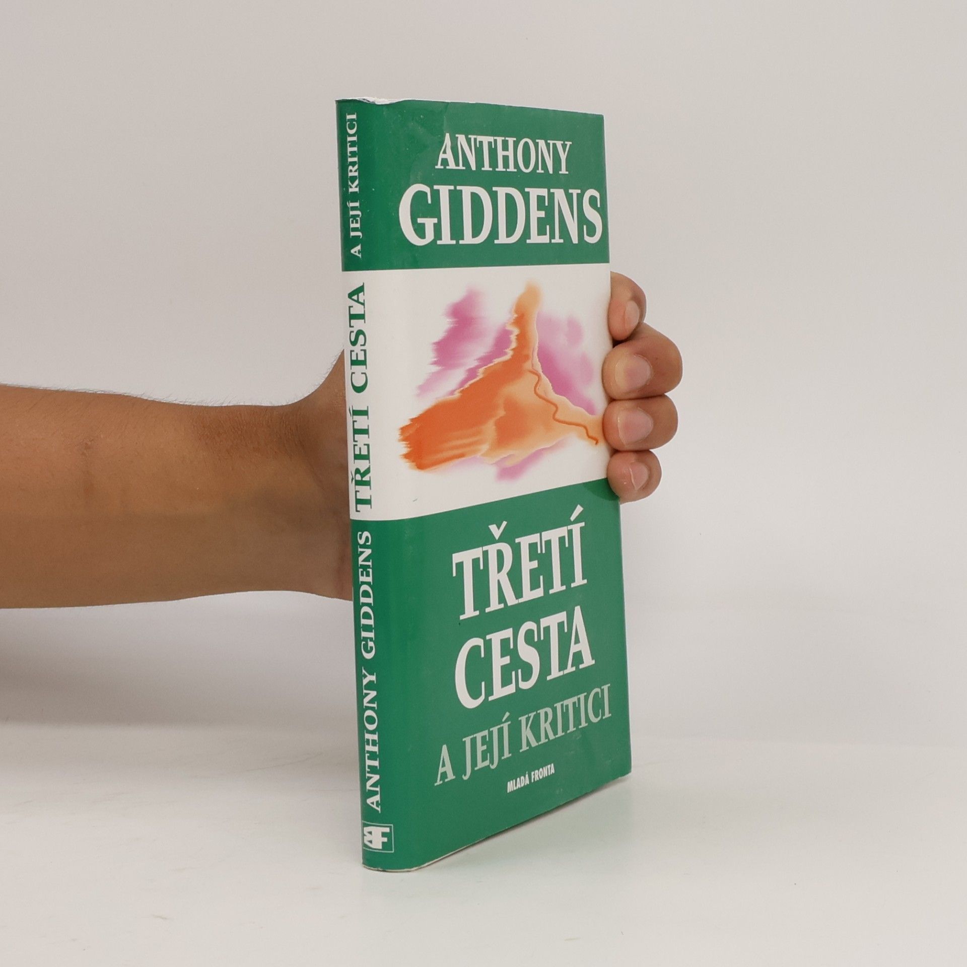 Třetí cesta a její kritici