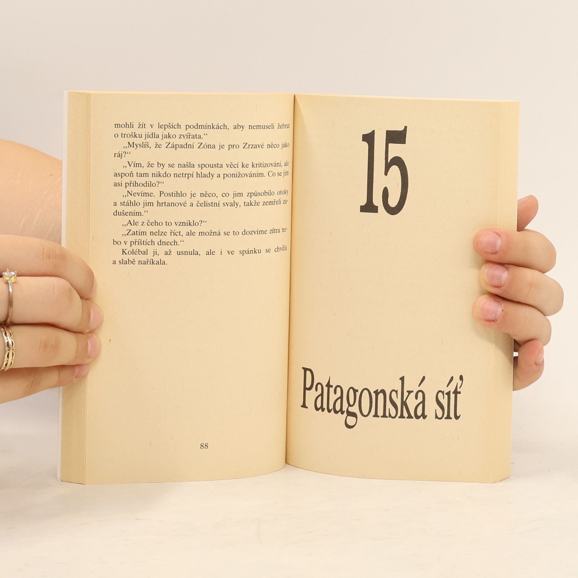 Georges Jean Arnaud Ledová společnost. 9, Patagonská síť