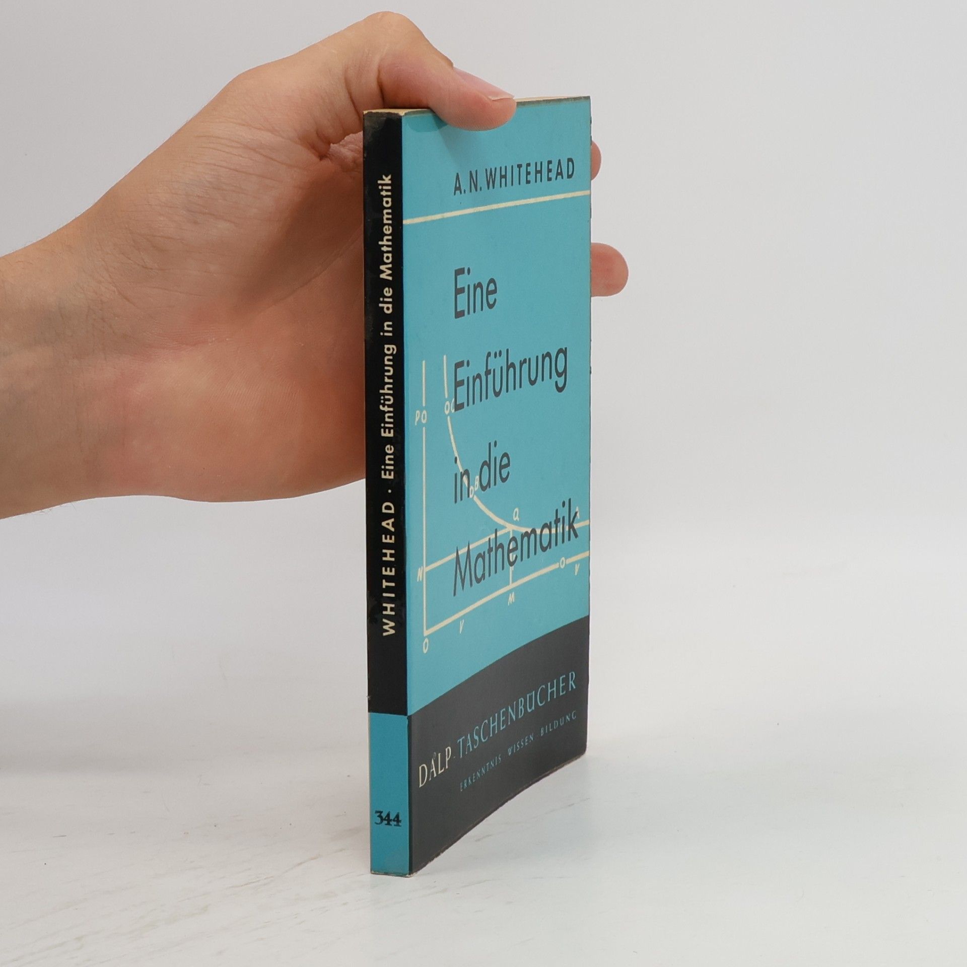 Eine Einführung in die Mathematik