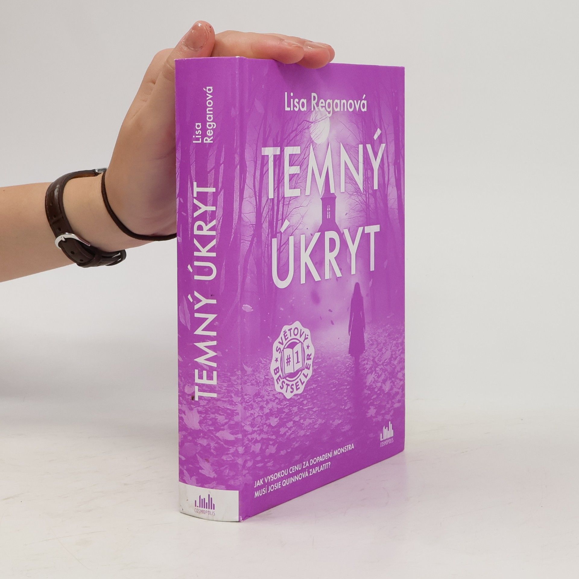 Lisa Regan Temný úkryt