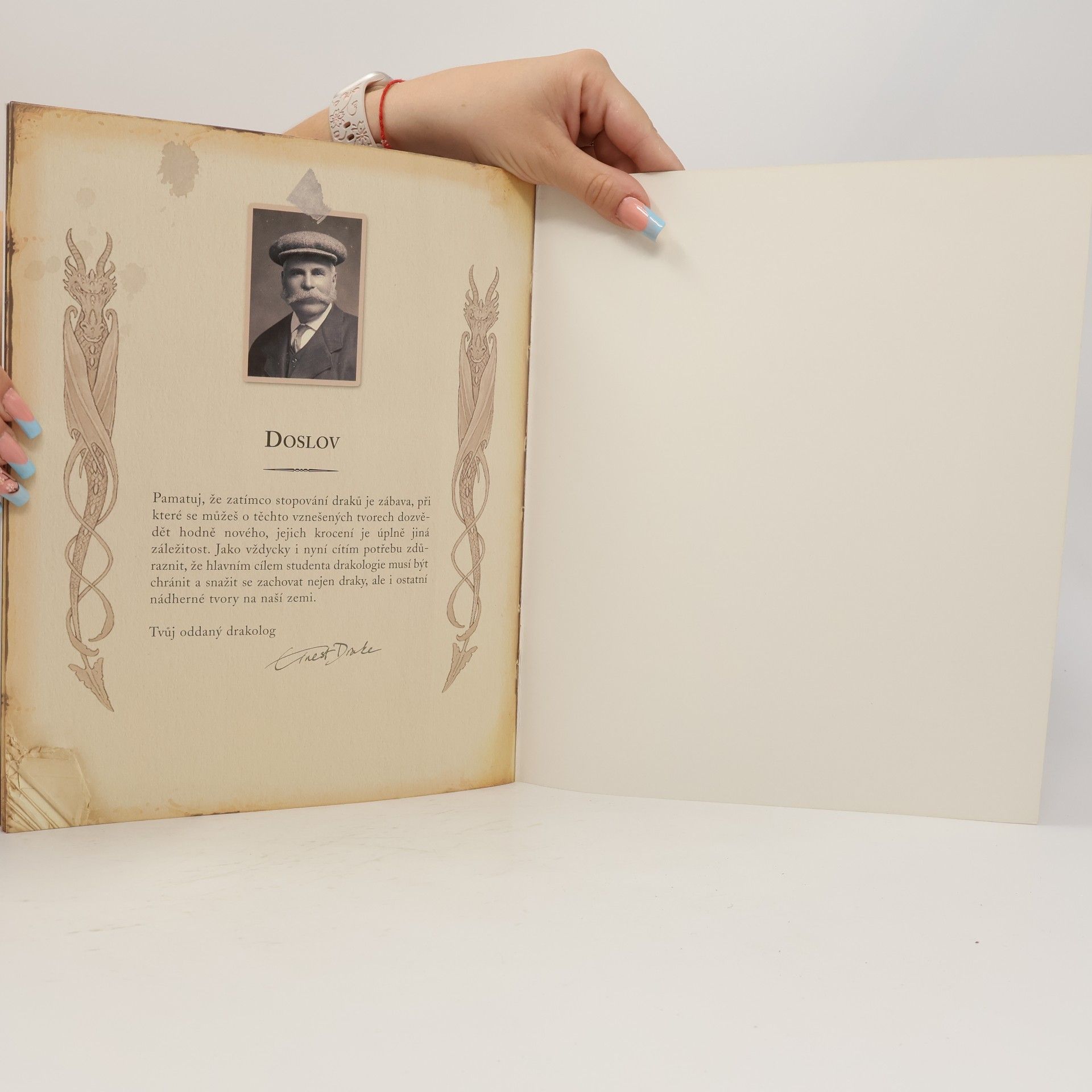 Kolektiv autorů Drakologie - stopování a krocení draků, příručka pro začátečníky
