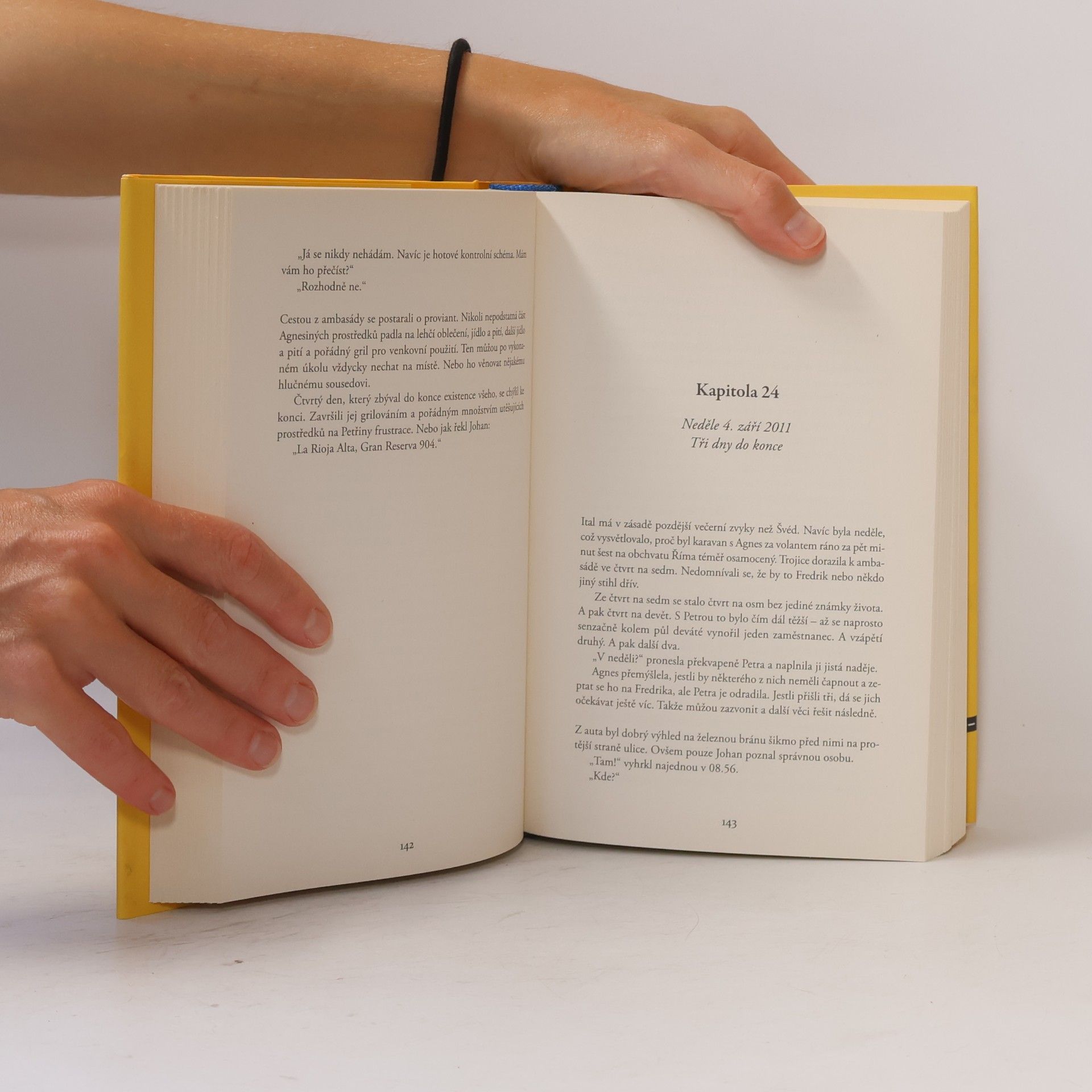 Jonas Jonasson Prorokyně a hlupák