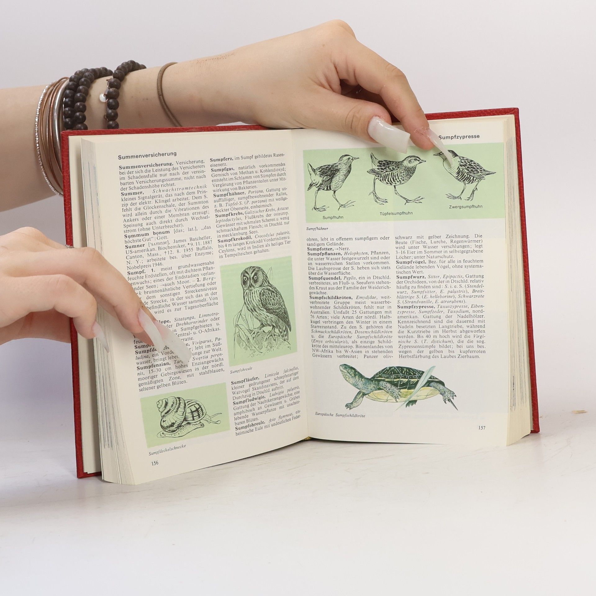 Autorenkollektiv Das moderne Lexikon 18. Steck - Triep