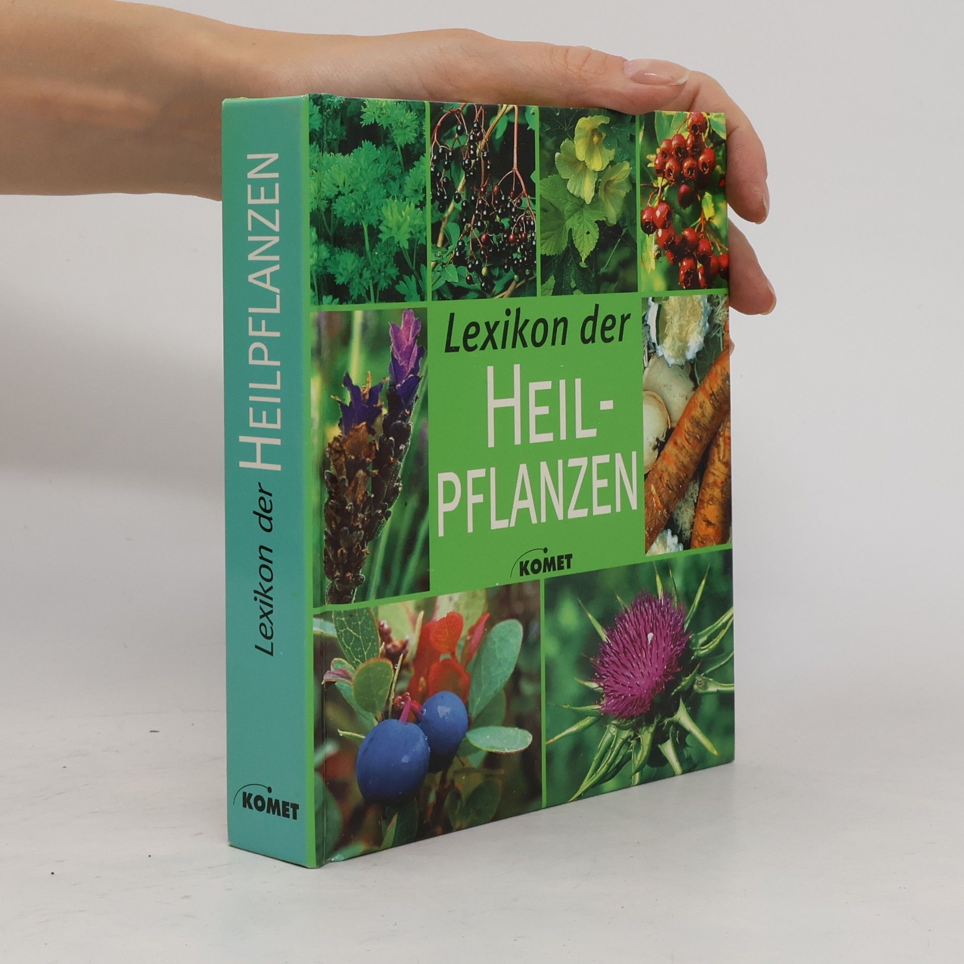 Iris Schmidt Lexikon der Heilpflanzen