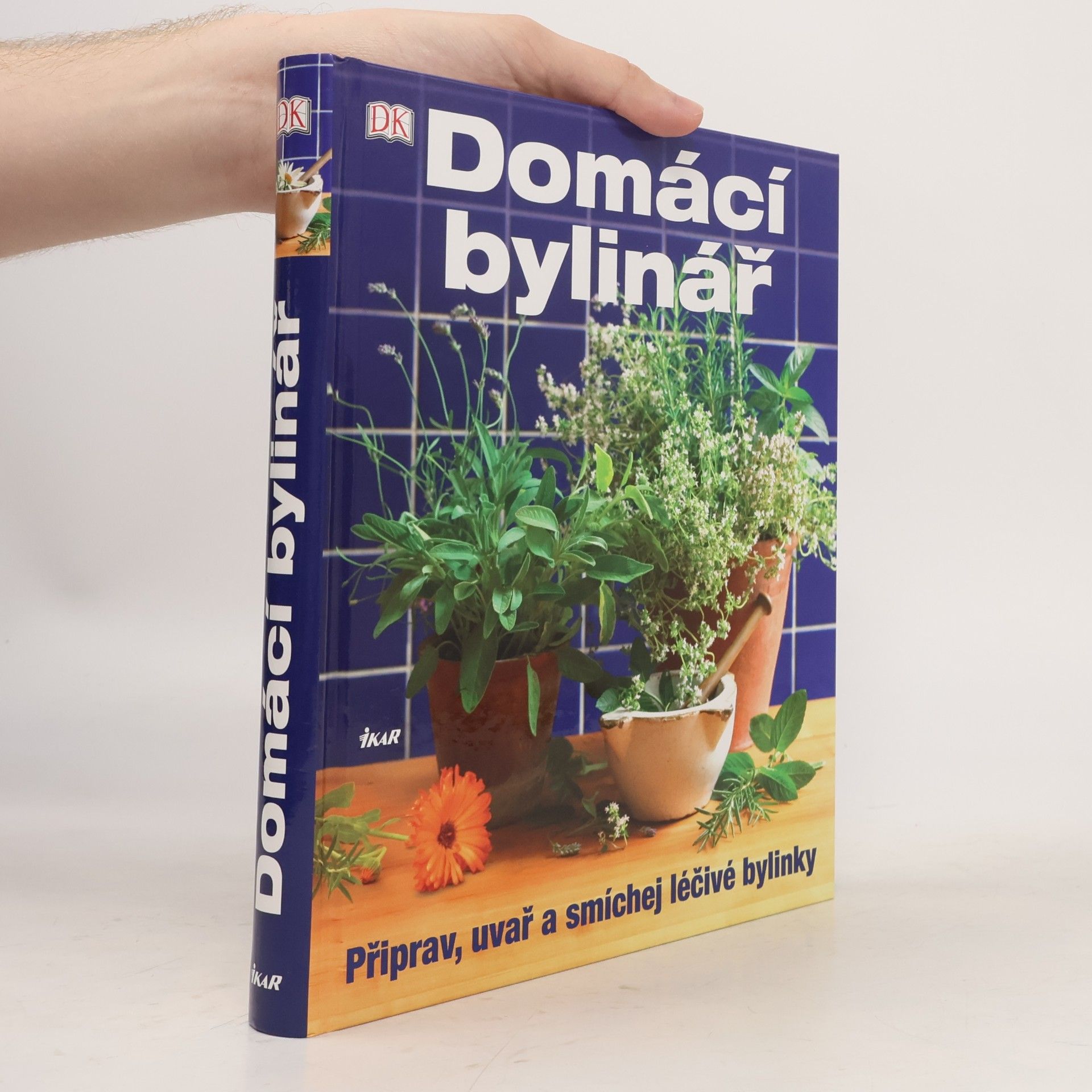 Kolektiv autorů Domácí bylinář