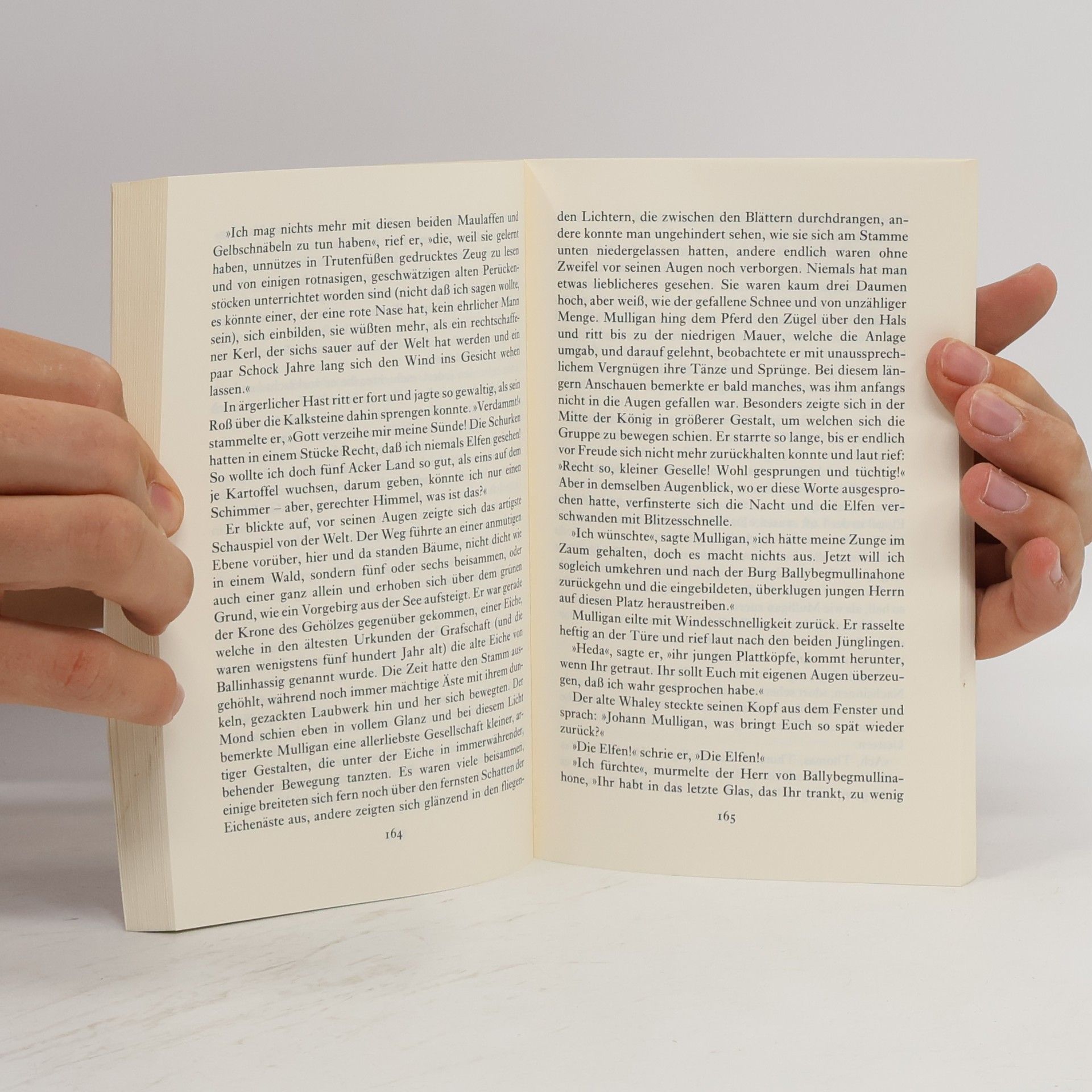 Jacob Grimm Irische Elfenmärchen