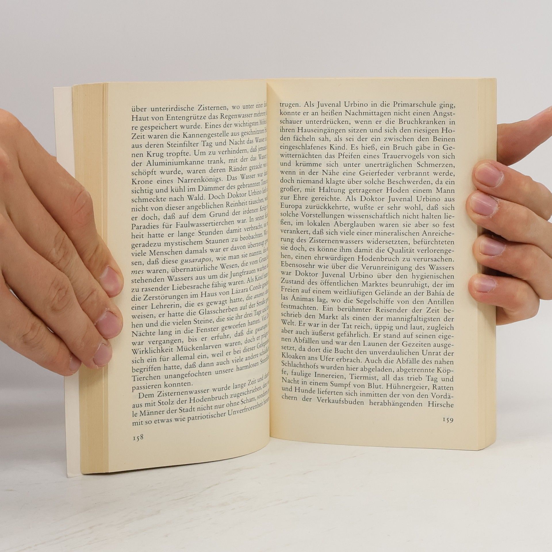 Gabriel García Márquez Die Liebe in den Zeiten der Cholera