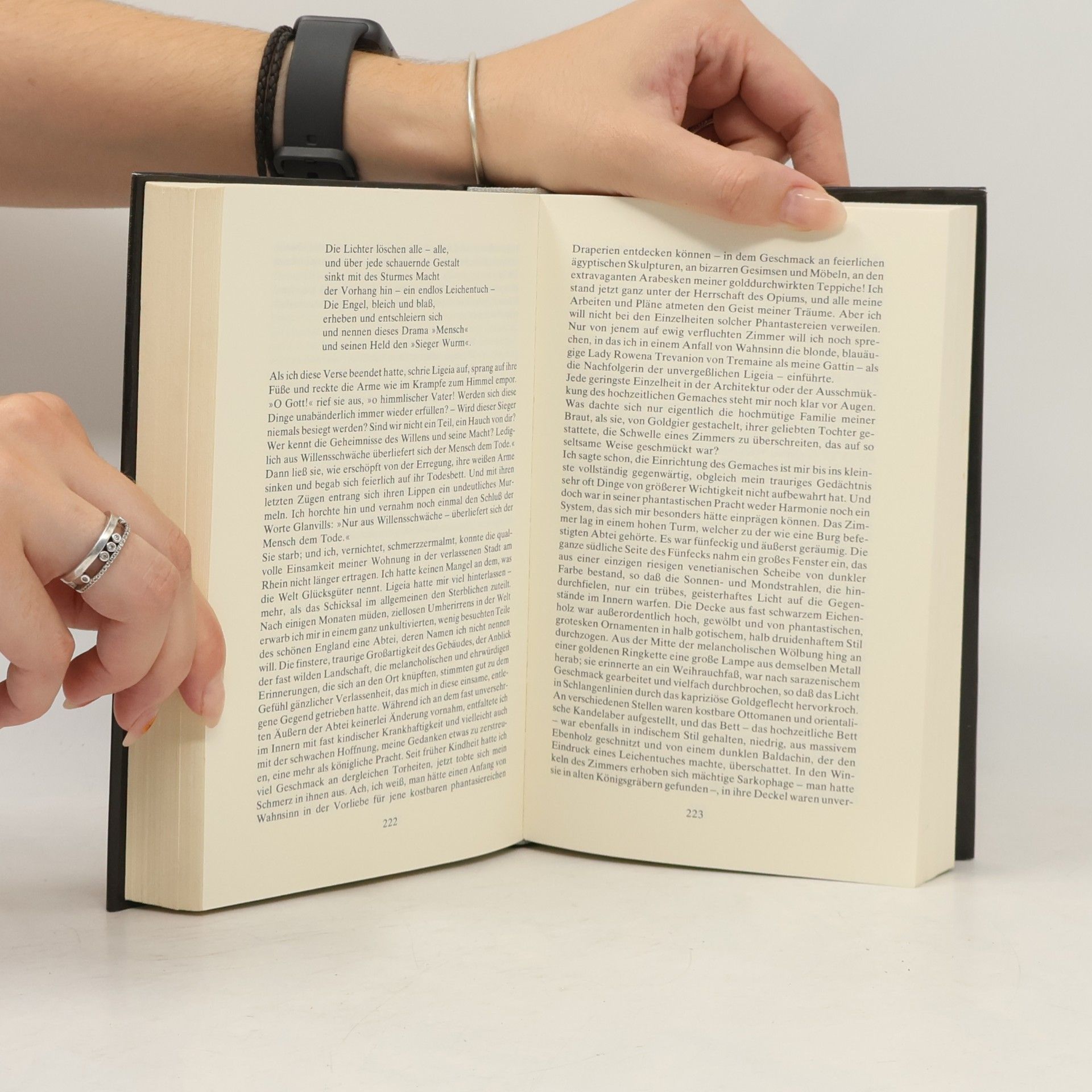 Edgar Allan Poe Phantastische Geschichten