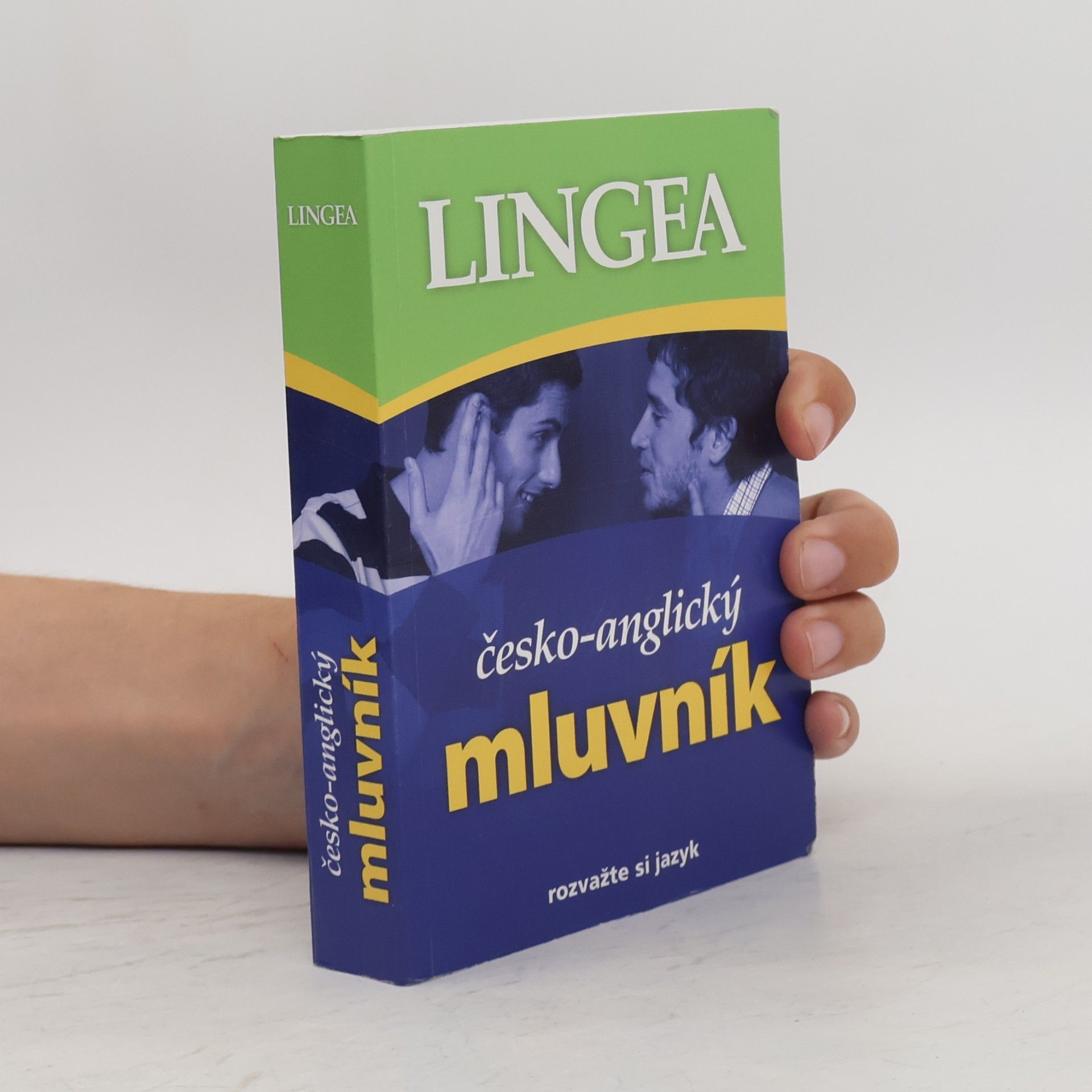Kolektiv autorů Česko-anglický mluvník