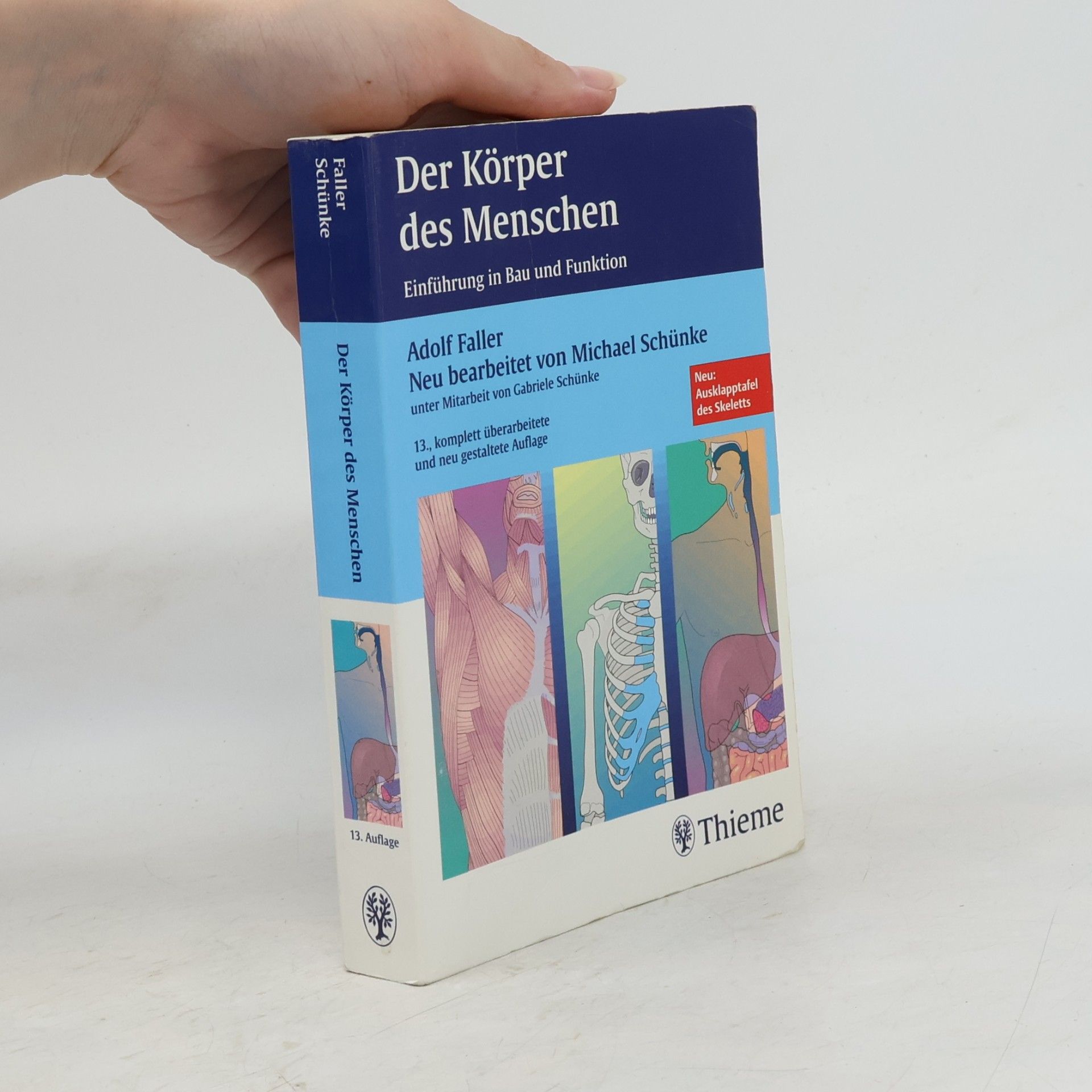 Autorenkollektiv Der Körper des Menschen : Einführung in Bau und Funktion