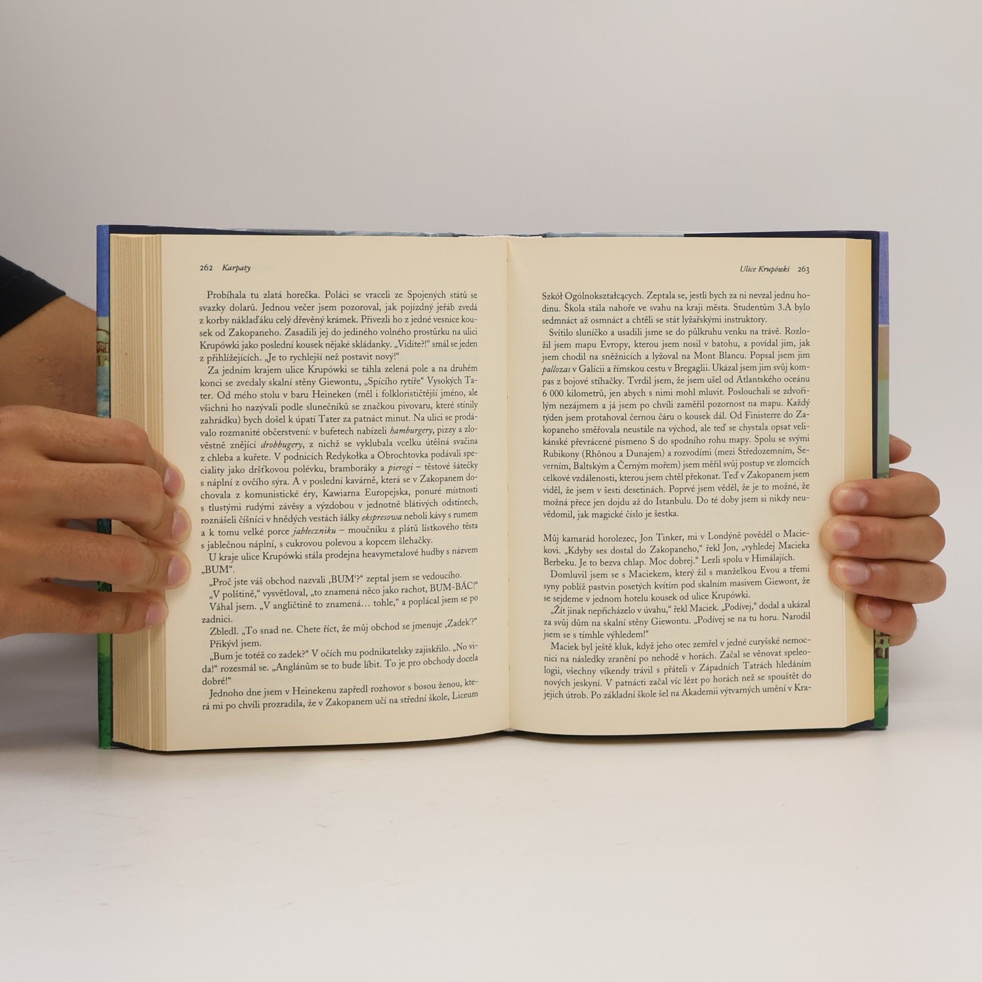 Nicholas Crane Pěšky napříč Evropou: Od španělského mysu Finisterre přes vrcholky hor až do tureckého Istanbulu