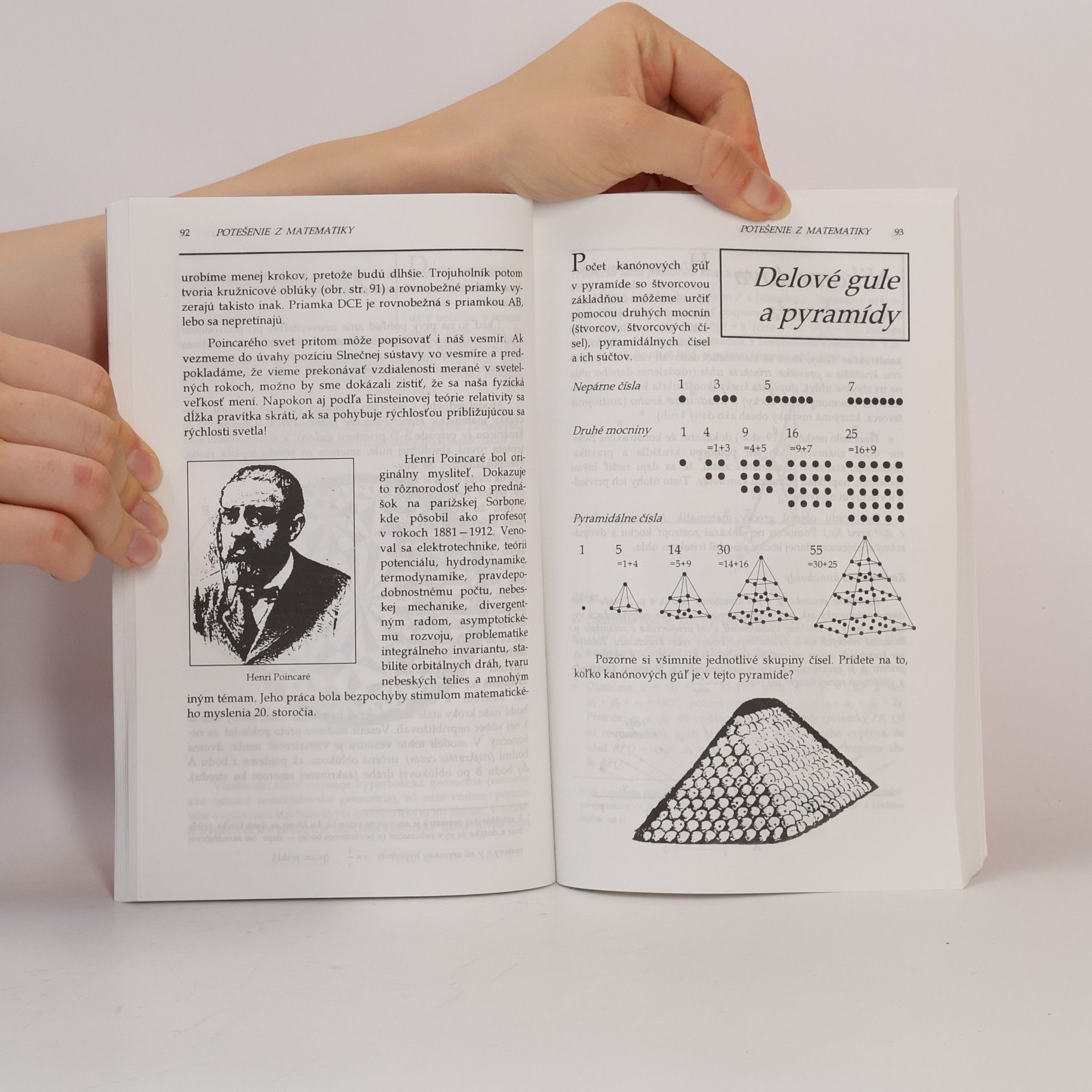 Theoni Pappas Potešenie z matematiky