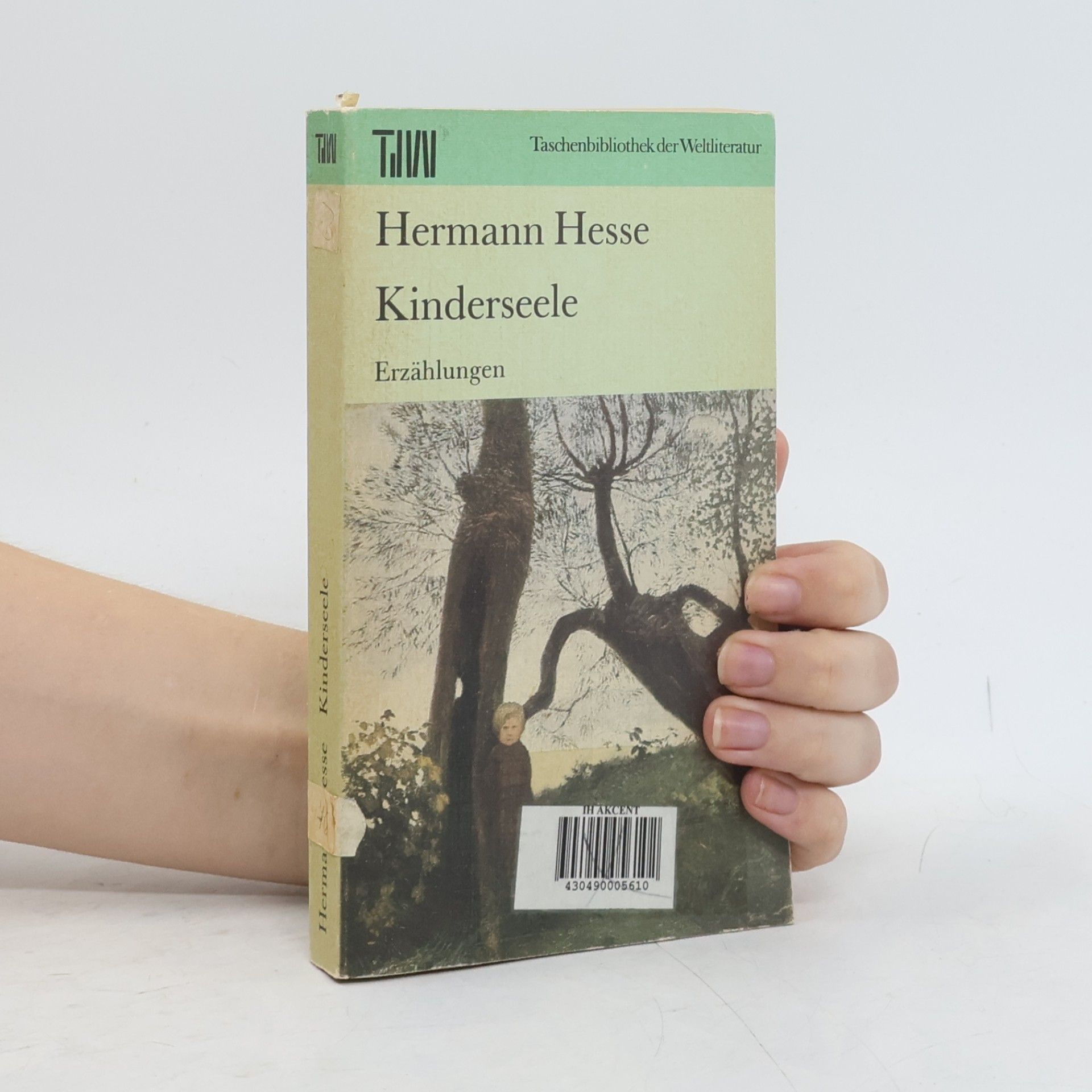 Hermann Hesse Kinderseele : Erzählungen