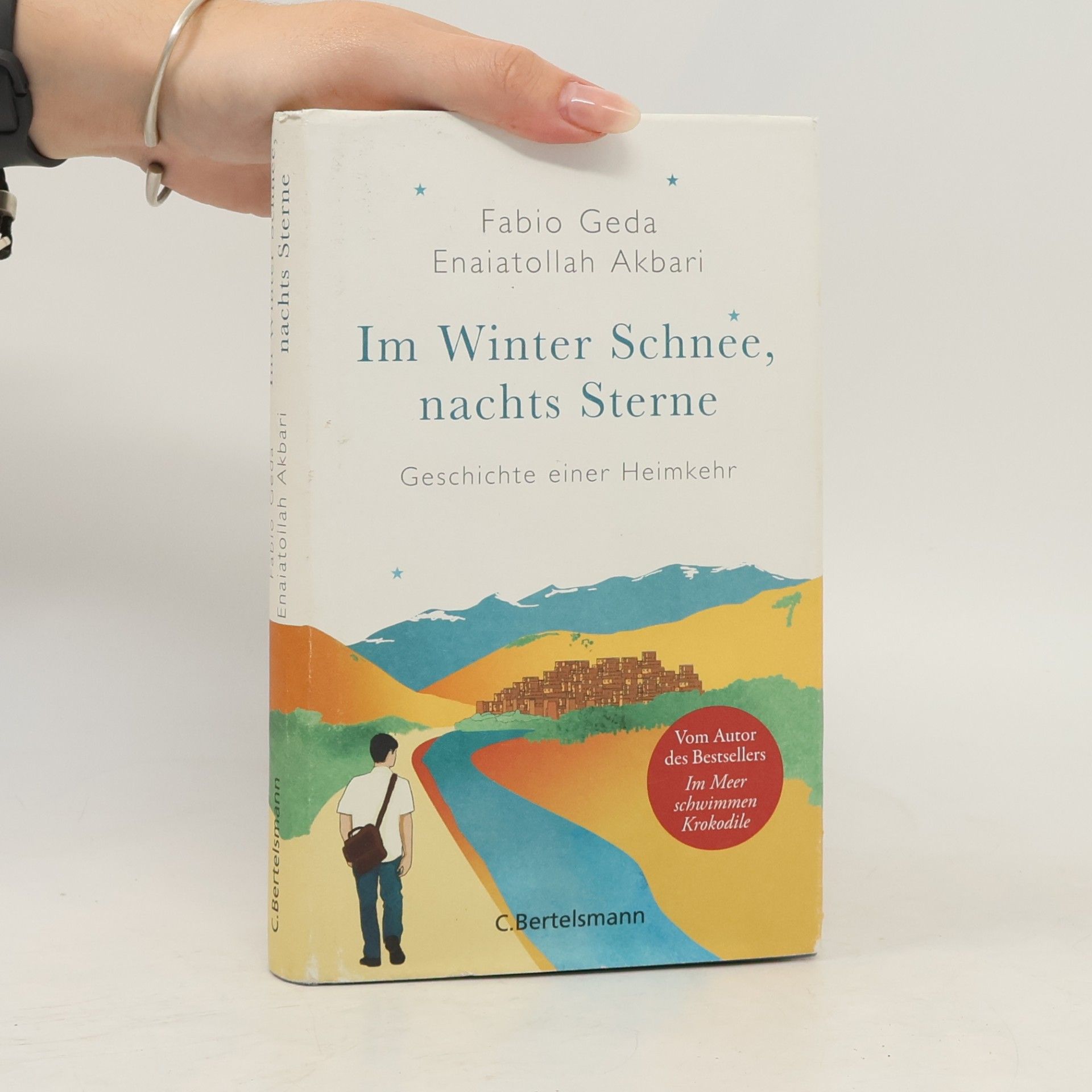Fabio Geda Im Winter Schnee, nachts Sterne. Geschichte einer Heimkehr