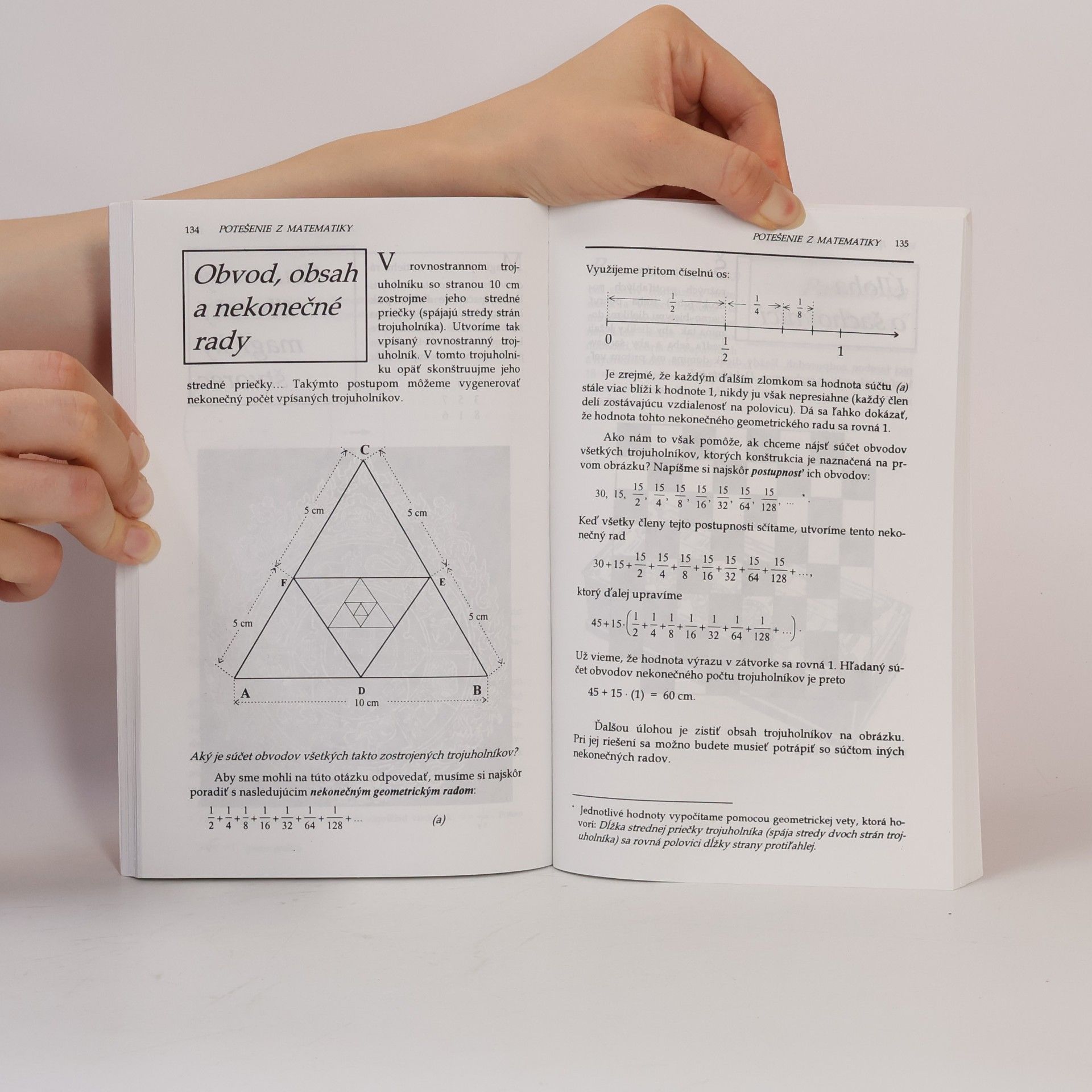 Theoni Pappas Potešenie z matematiky
