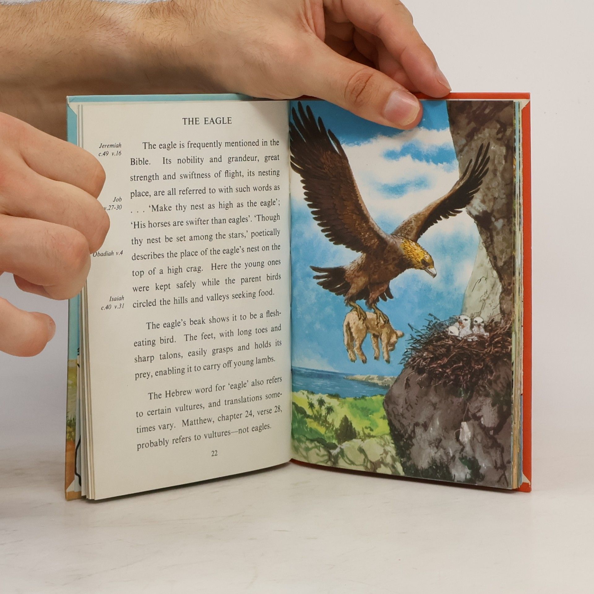 Hilda Isabel Rostron Ladybird Book: Animals Birds and Plants of the Bible