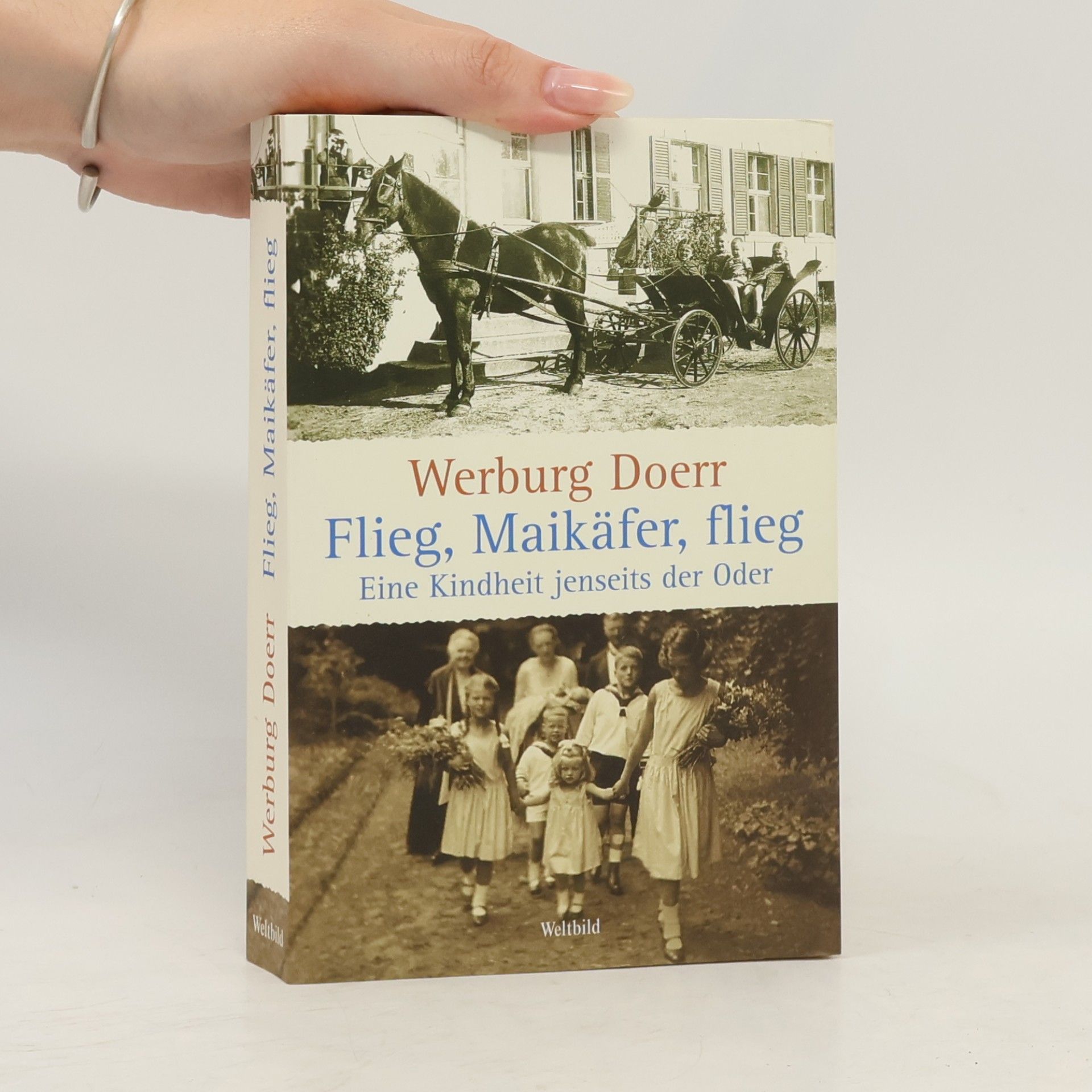 Werburg Doerr Flieg, Maikäfer, flieg