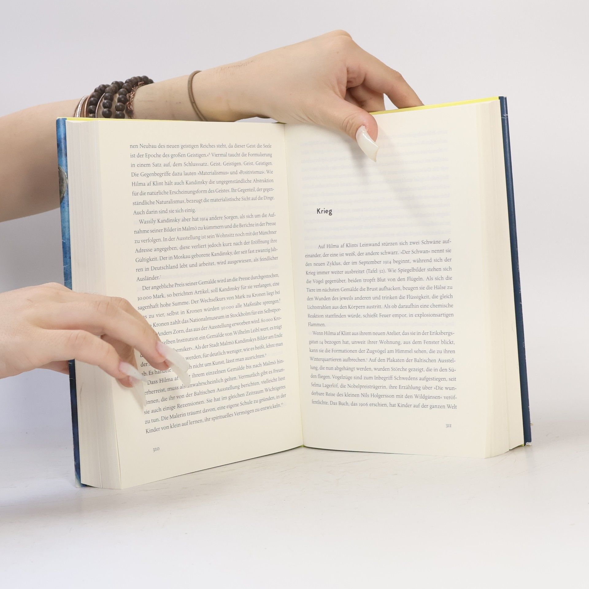 Julia Voss Hilma af Klint: Biographie
