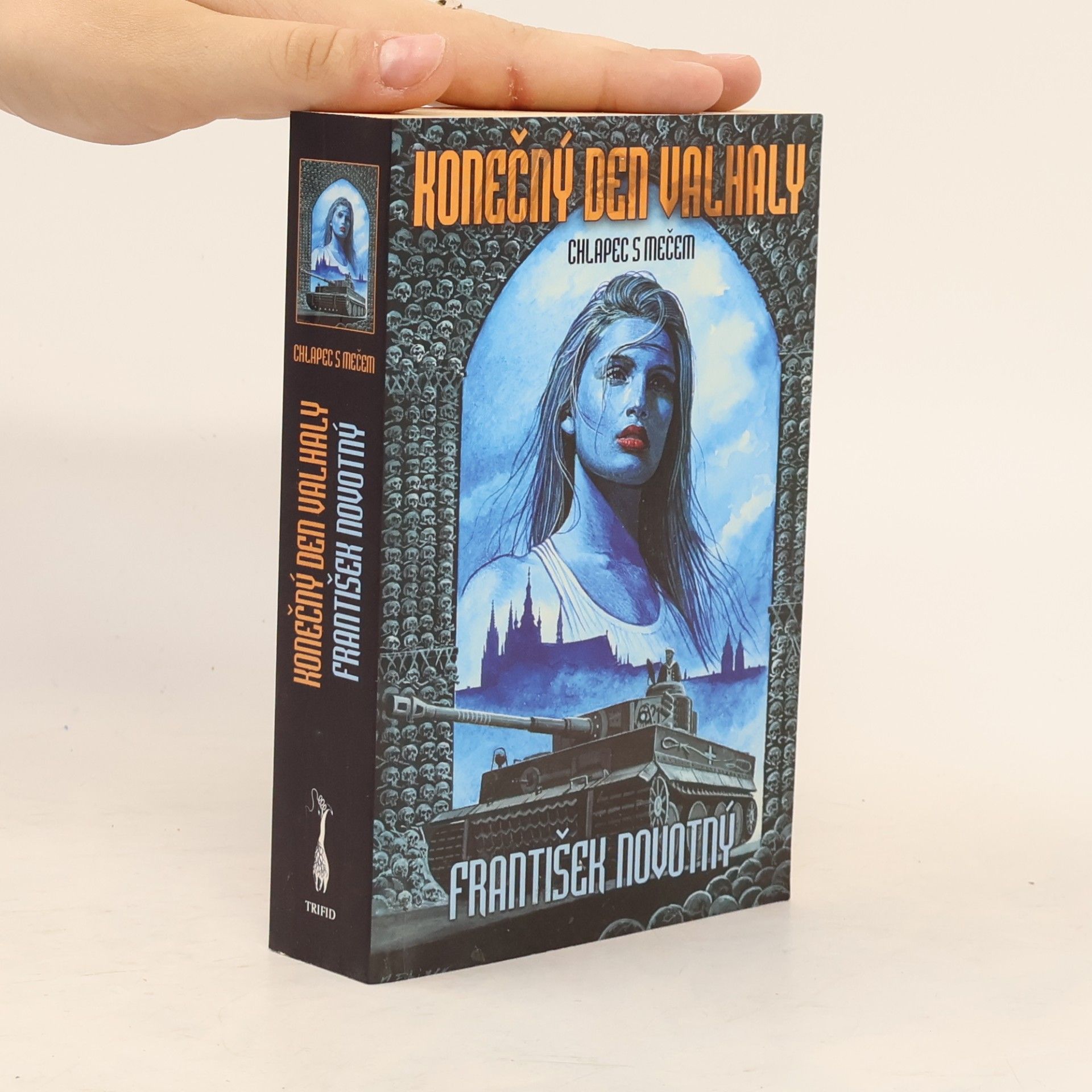 František Novotný Konečný den Valhaly – Chlapec s mečem