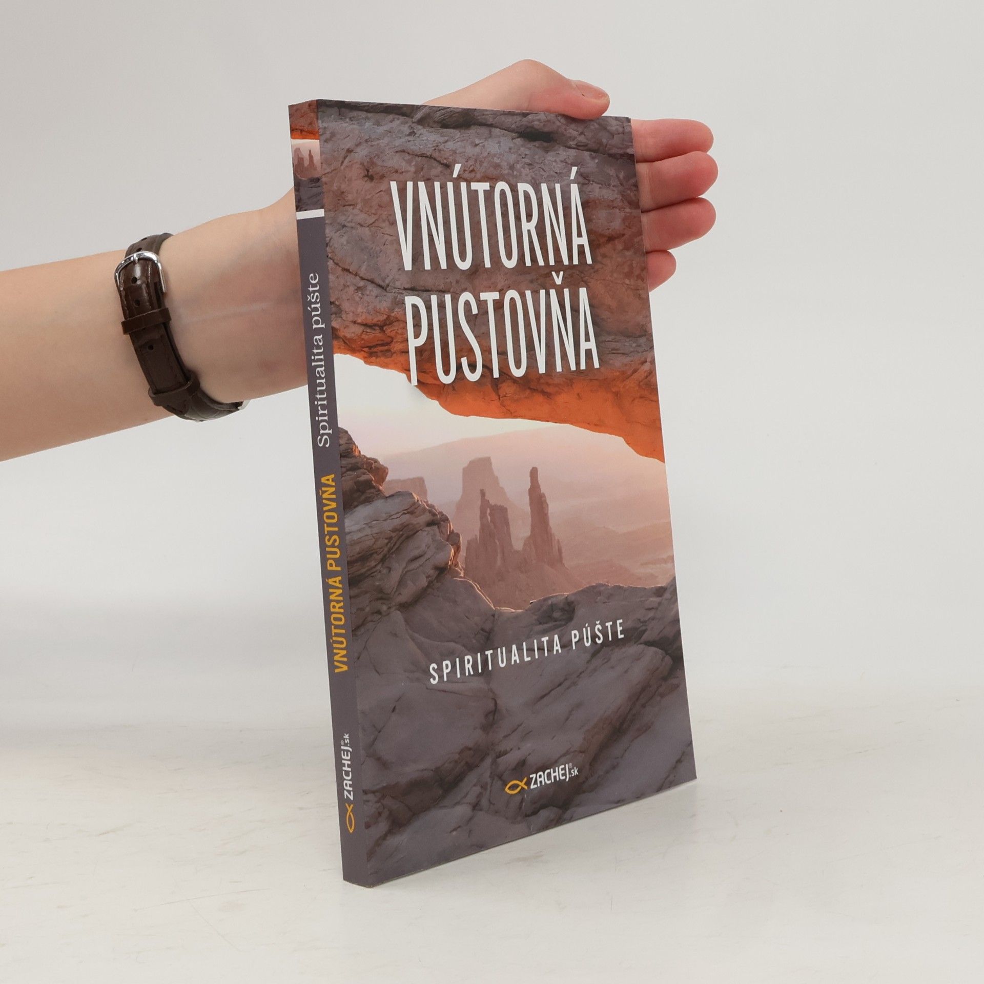 Kolektiv autorů Vnútorná pustovňa