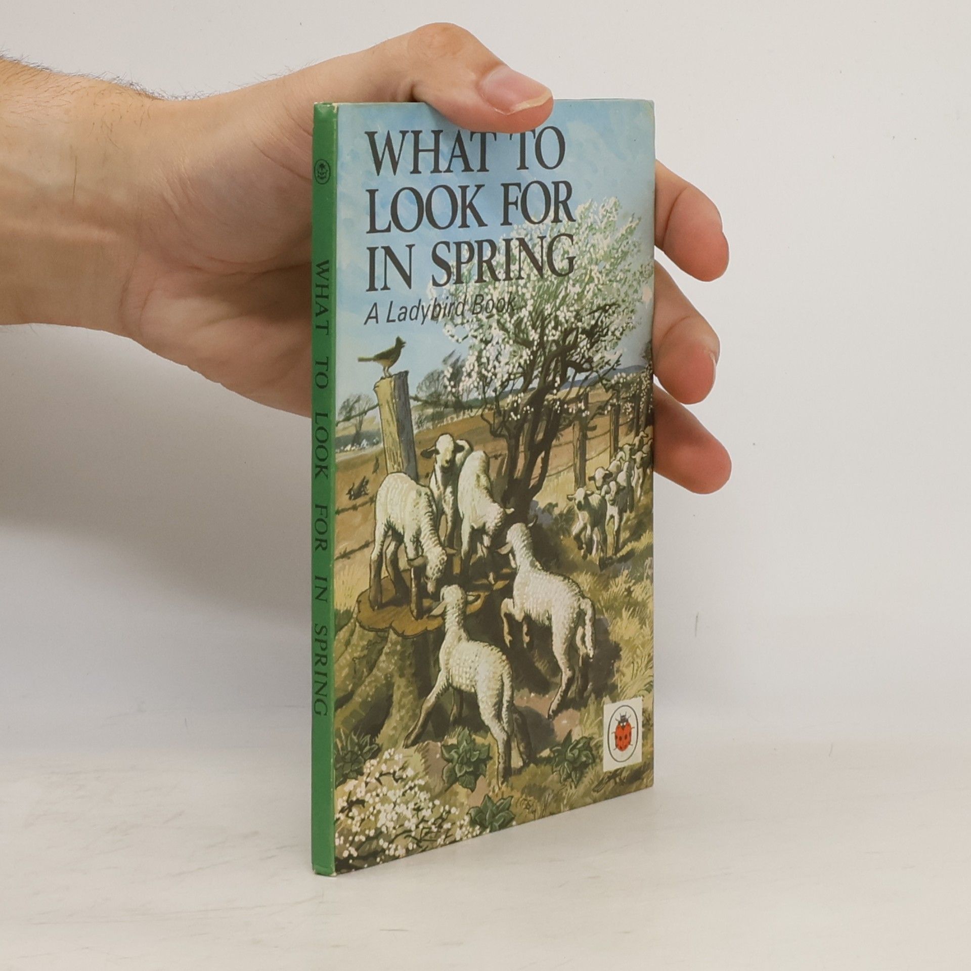 What to Look For in Spring