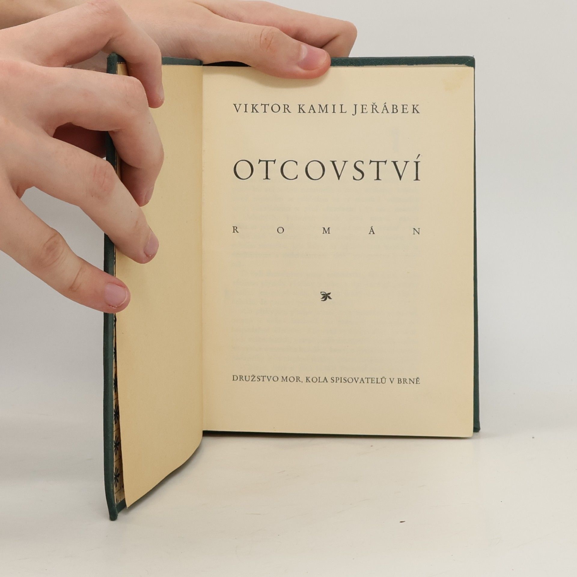 Viktor Kamil Jeřábek Otcovství : Román