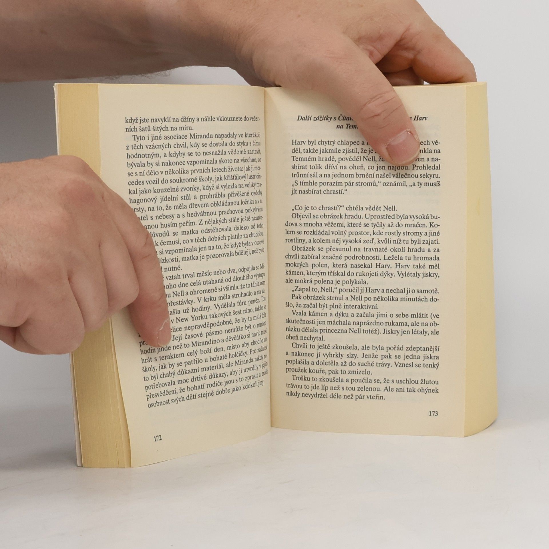 Neal Stephenson Diamantový věk, aneb, Obrázková čítanka pro urozené slečny