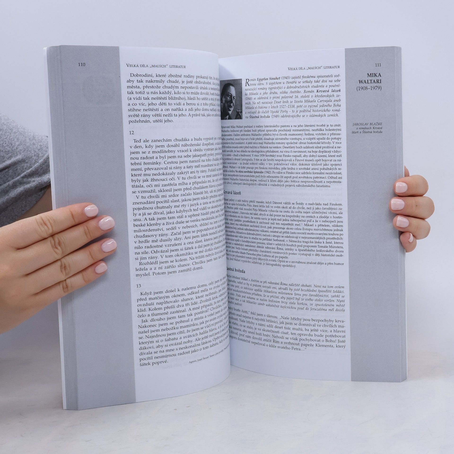 Jaroslav Blažke Kouzelné zrcadlo literatury. Od železné opony k postmoderně