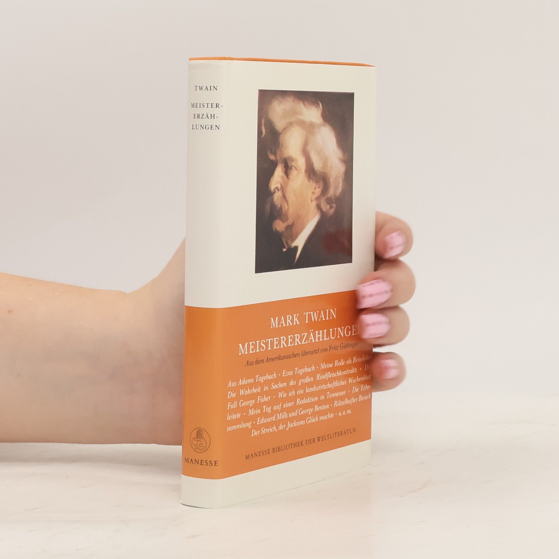 Mark Twain Meistererzählungen