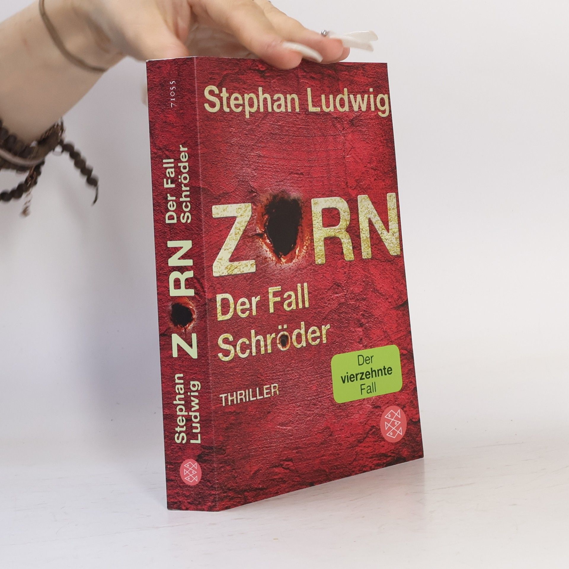 Stephan Ludwig Zorn - Der Fall Schröder / Hauptkommissar Claudius Zorn Bd.14