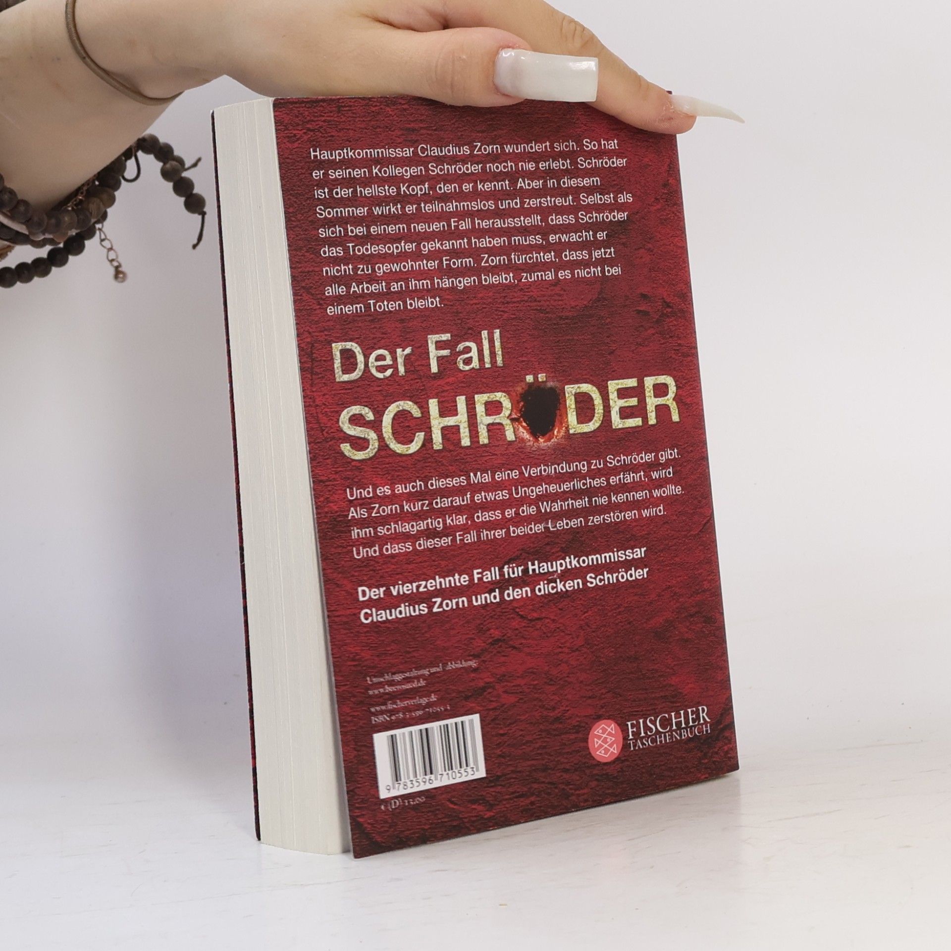 Stephan Ludwig Zorn - Der Fall Schröder / Hauptkommissar Claudius Zorn Bd.14
