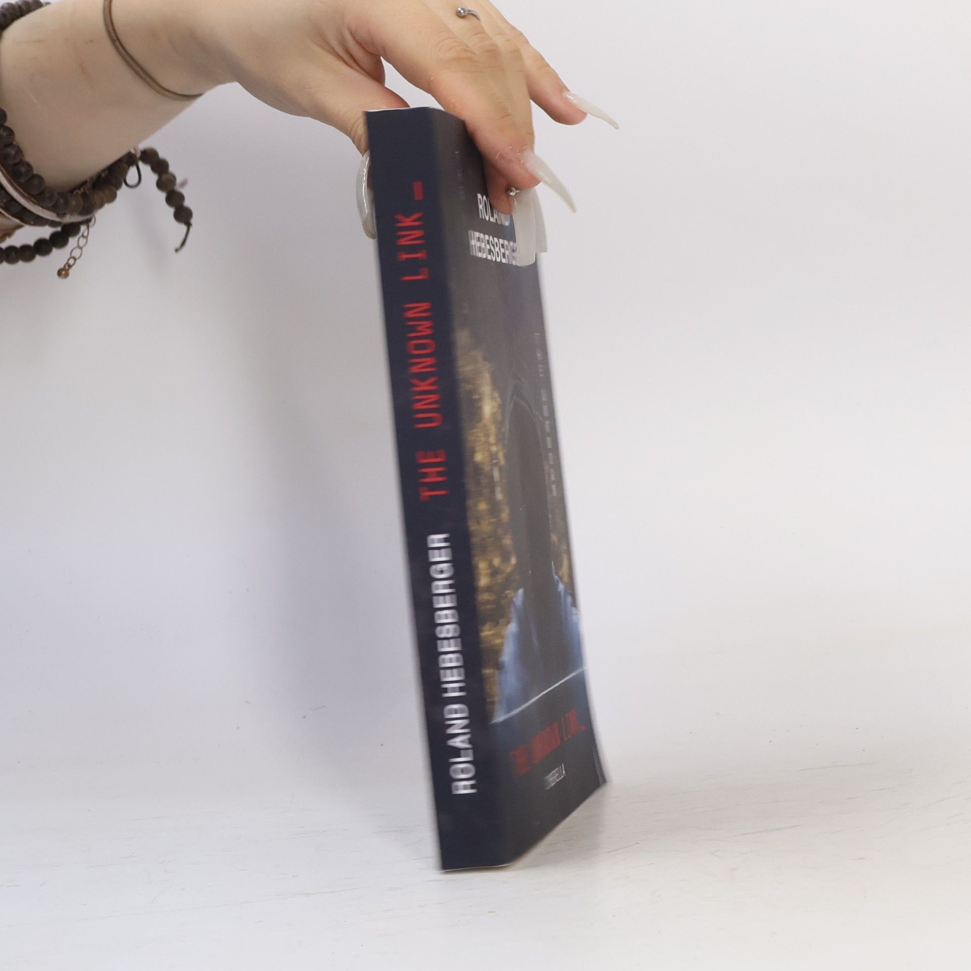 Die-Divinus-Saga: Ein Thriller-Buchuniversum - 12: The Unknown Link