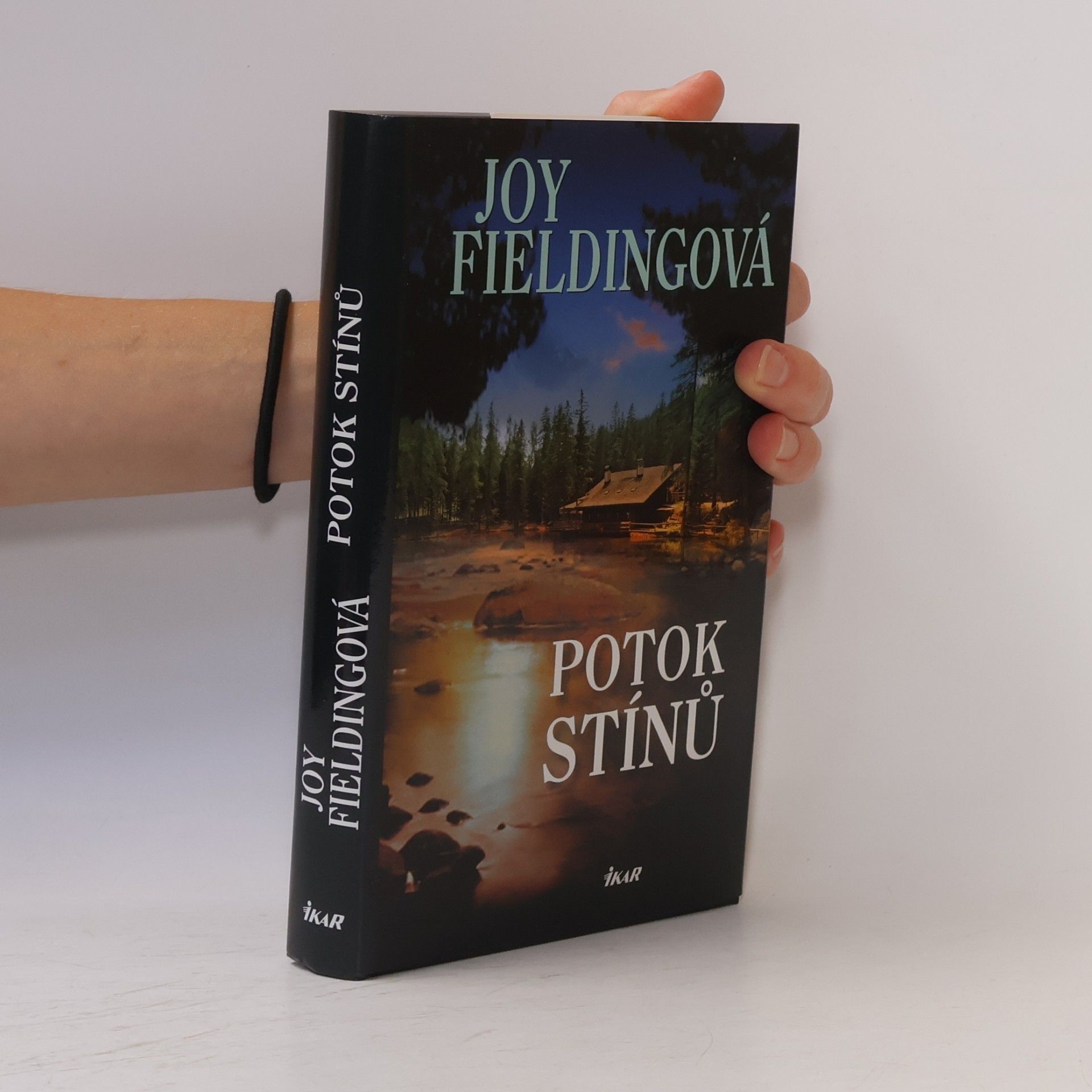 Joy Fielding Potok stínů