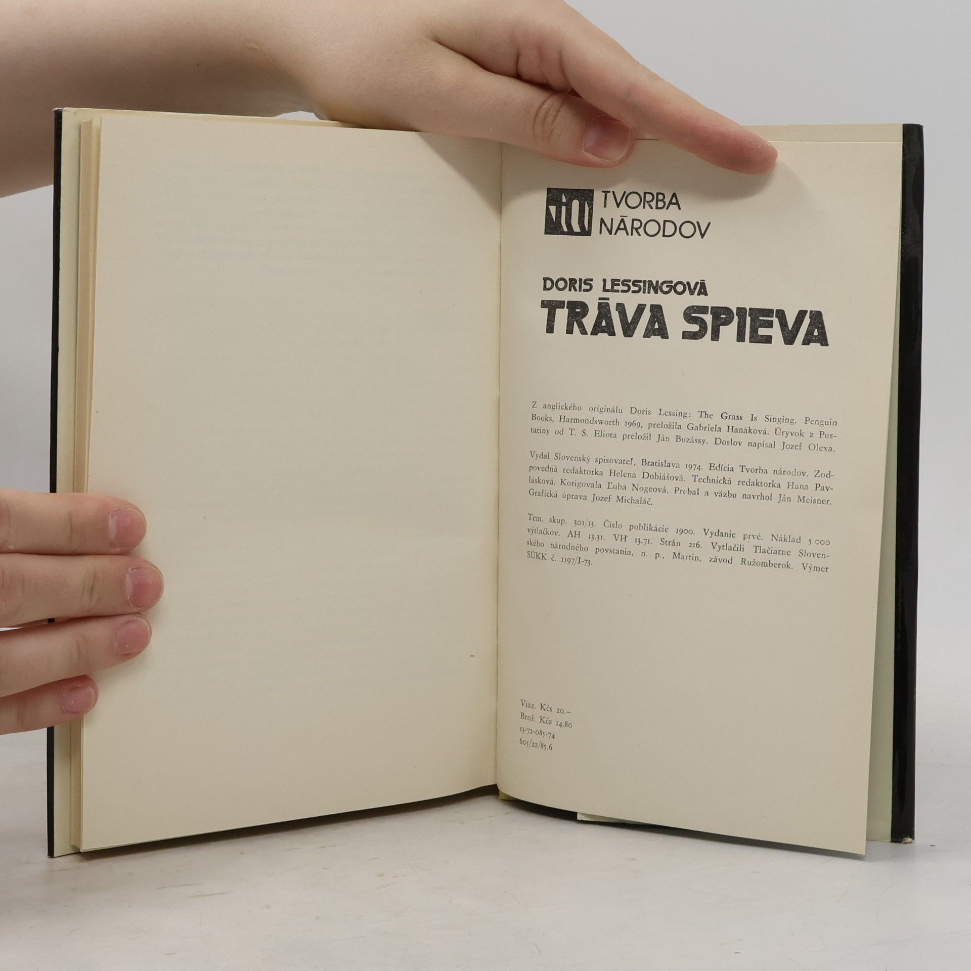 Doris Lessing Tráva spieva