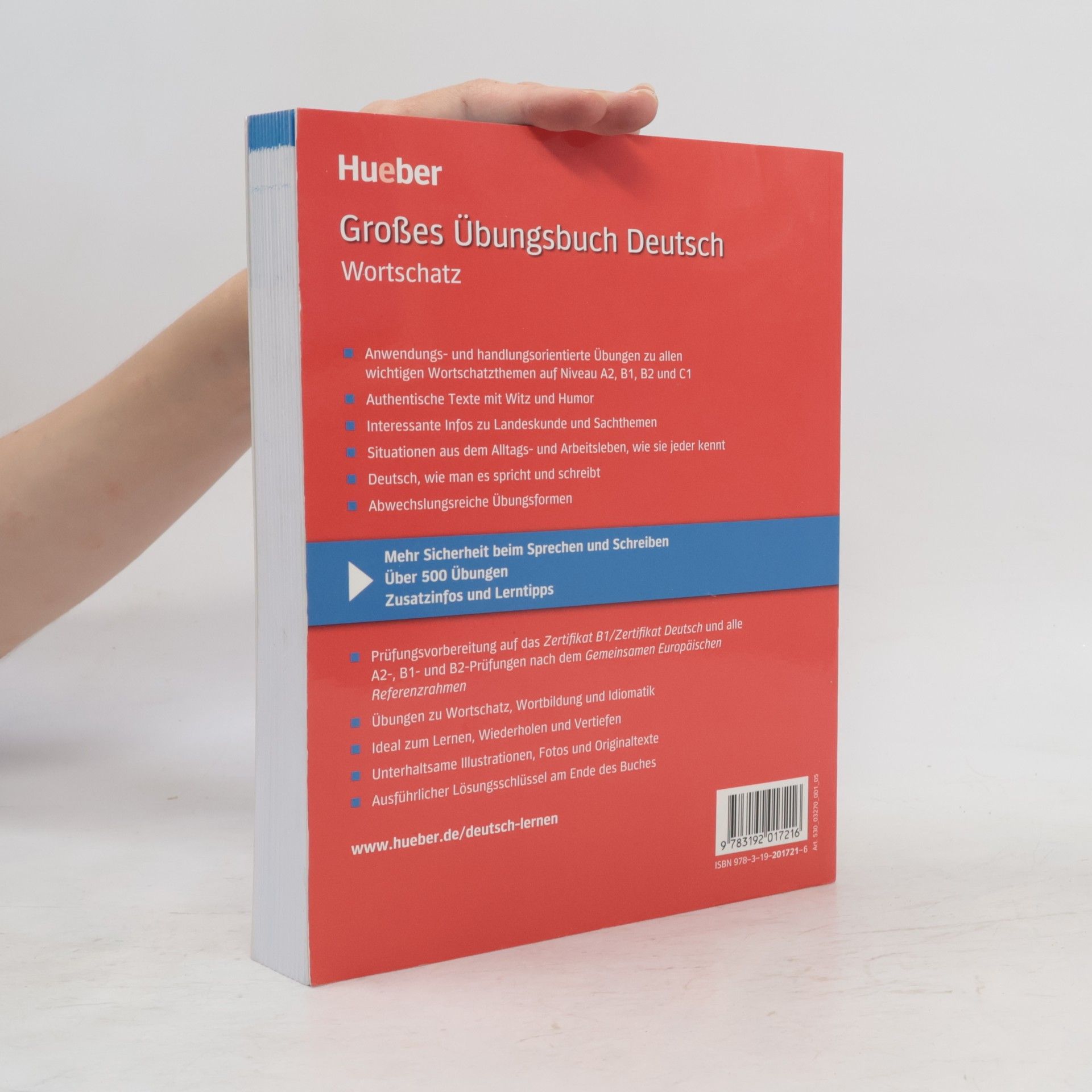 Lilli Brill Großes Übungsbuch Deutsch: Wortschatz (pracovní sešit)