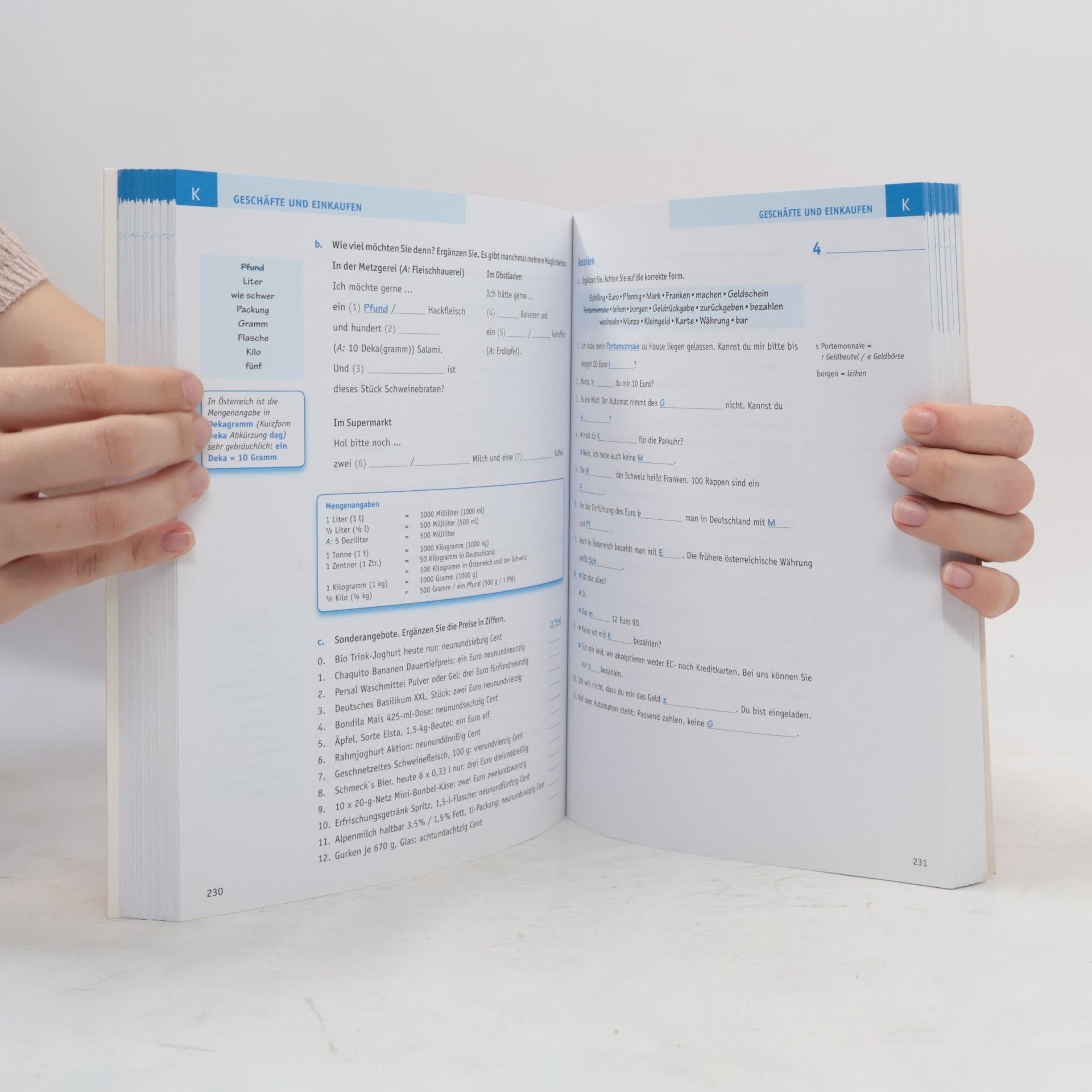 Lilli Brill Großes Übungsbuch Deutsch: Wortschatz (pracovní sešit)