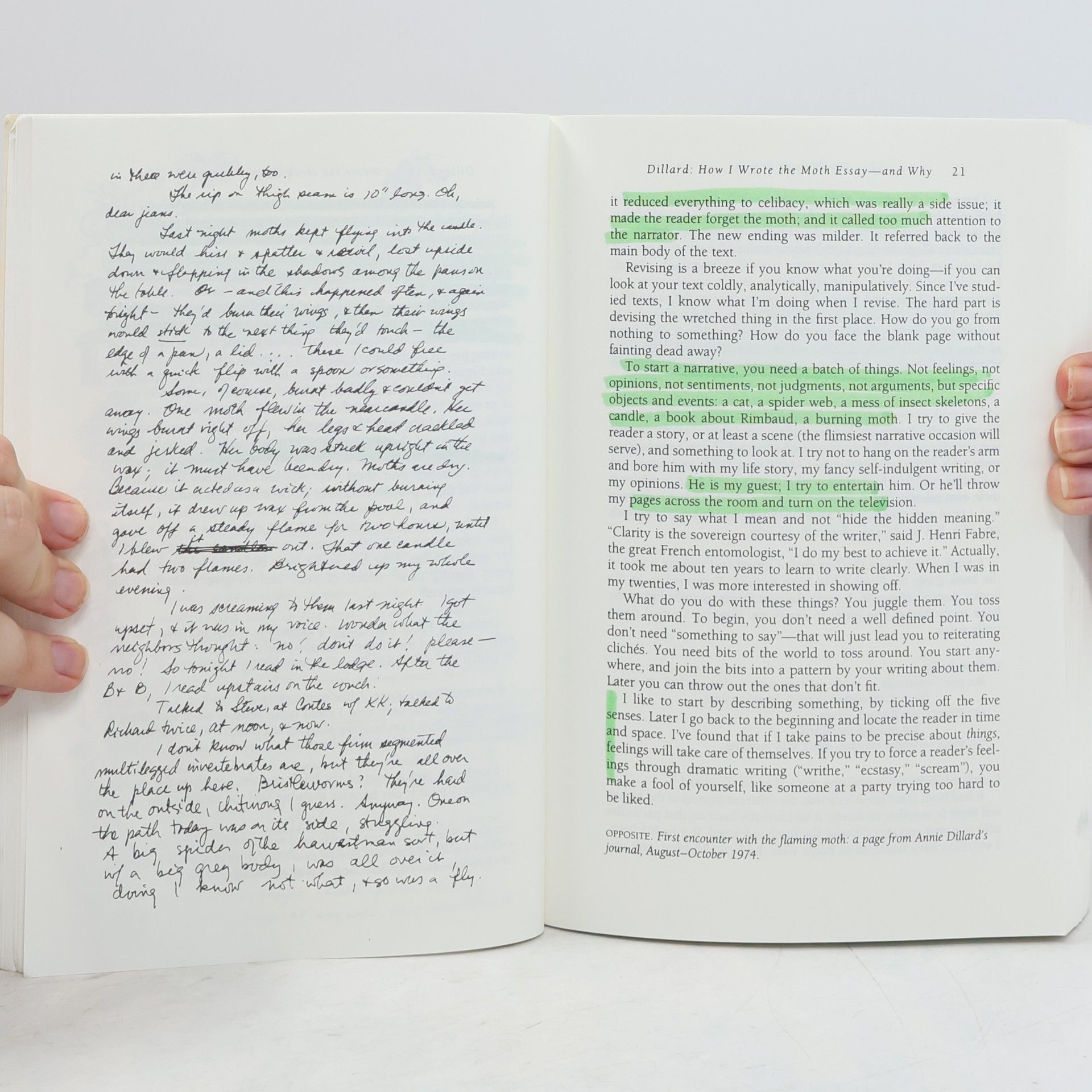 Thomas Cooley The Norton Sampler: Short Essays for Composition