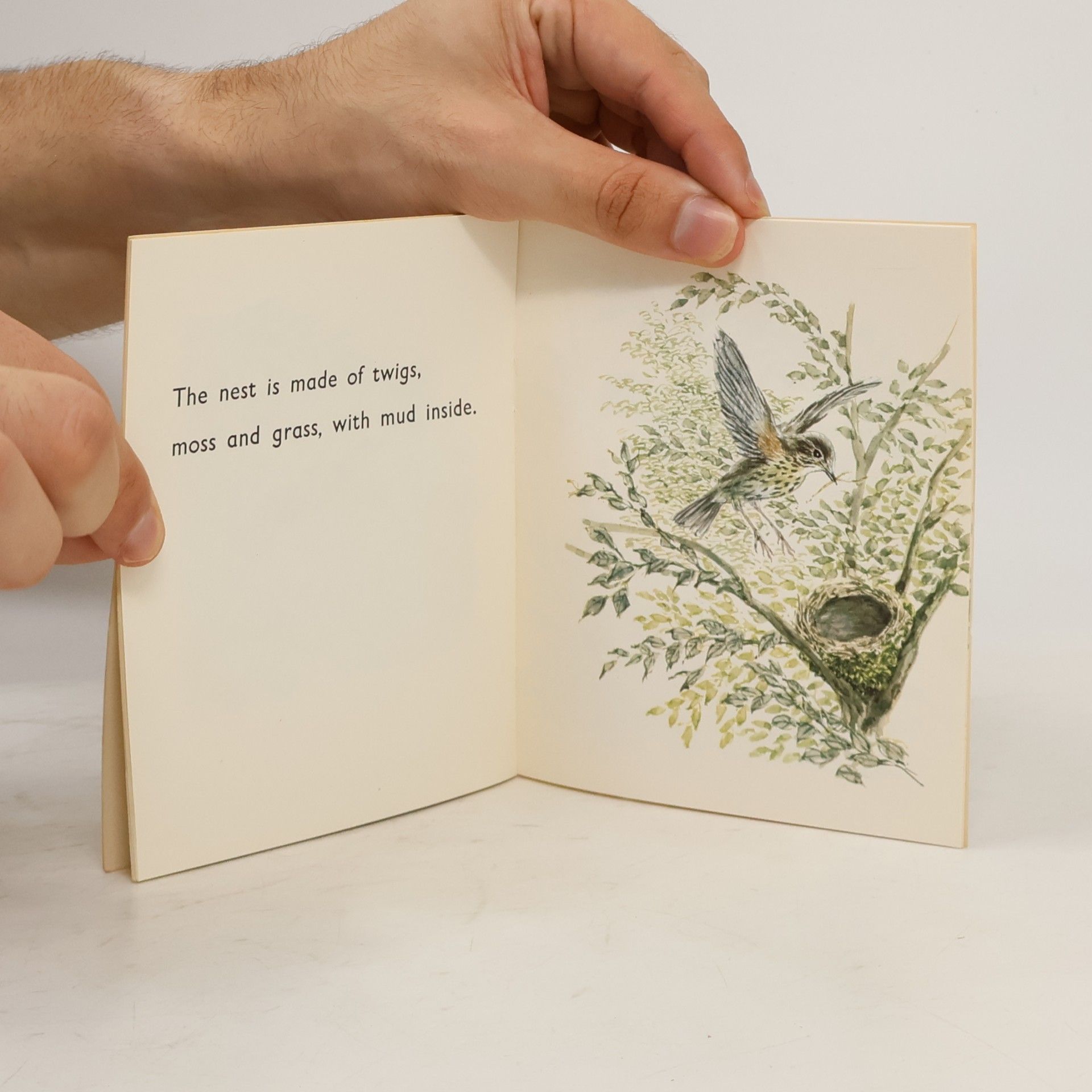 Various authors The Thrush