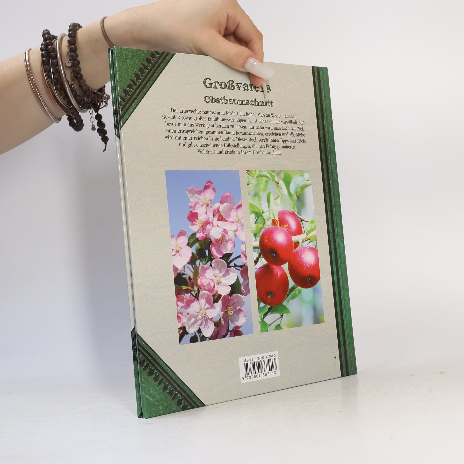 Großvaters Obstbaumschnitt