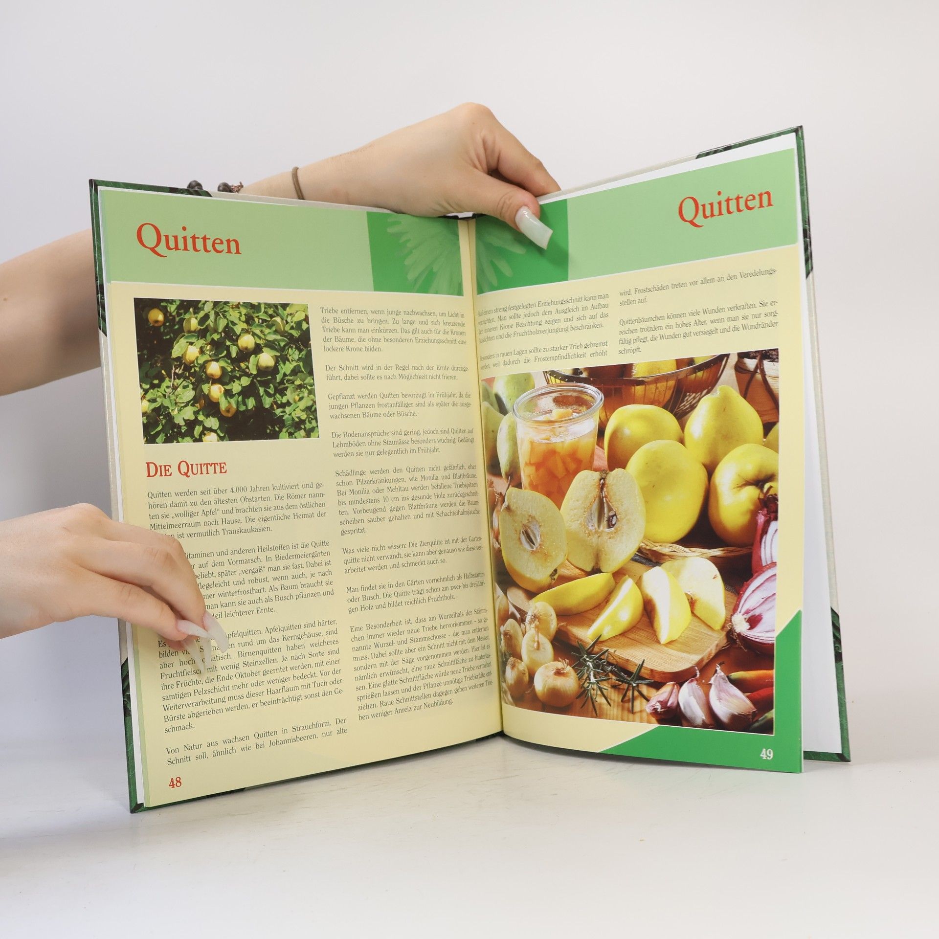 Großvaters Obstbaumschnitt