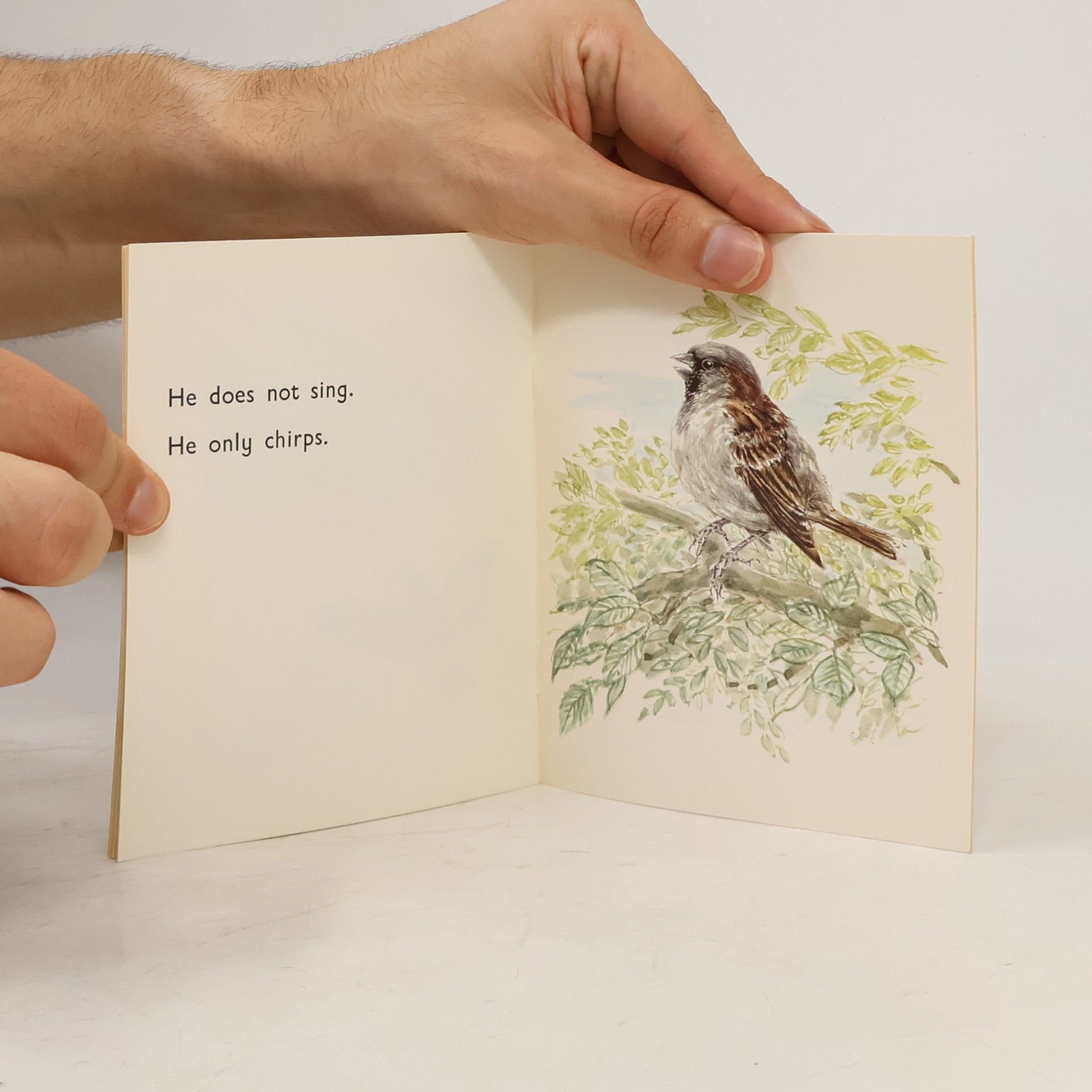 Various authors The Sparrow