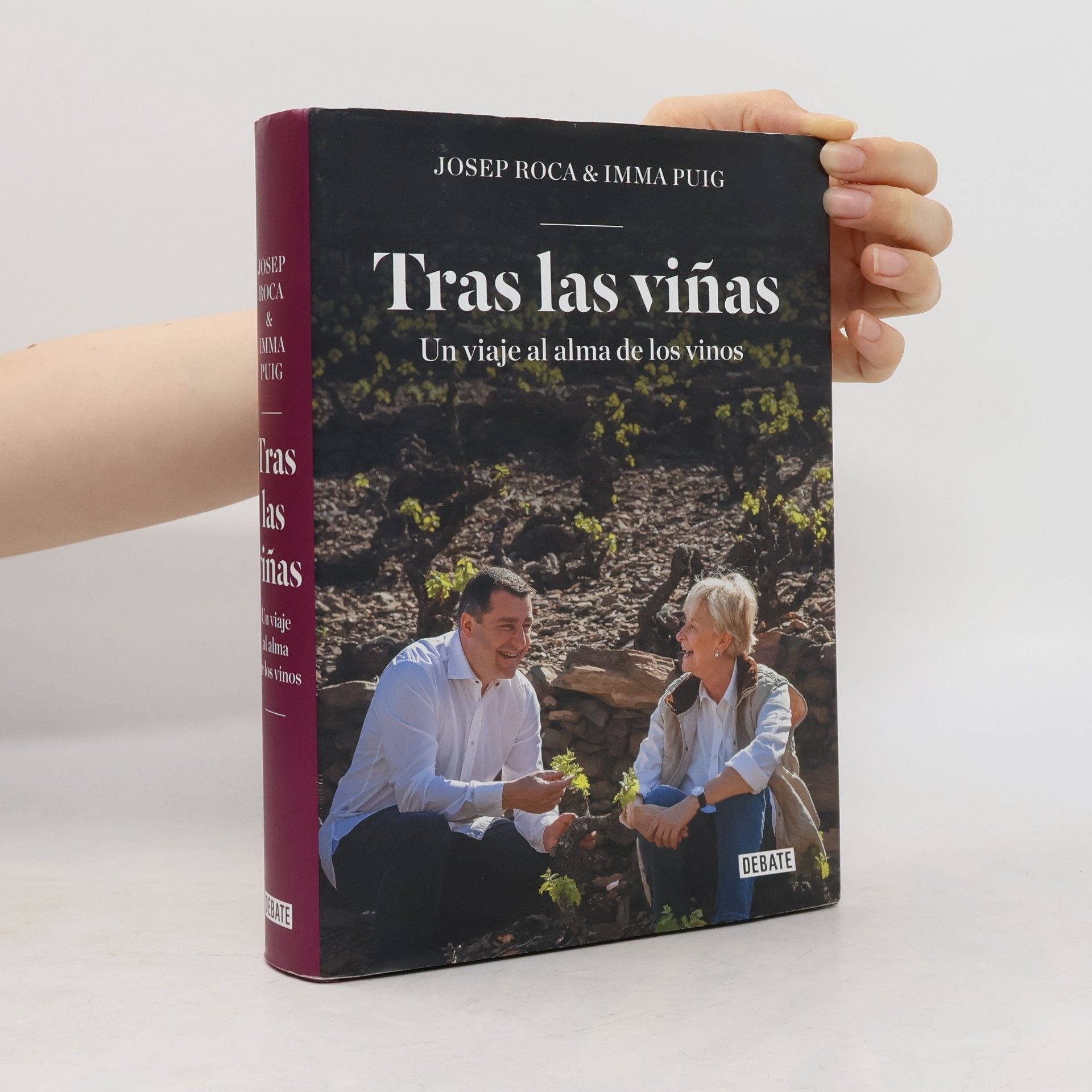 Josep Roca Fontané Tras las viñas