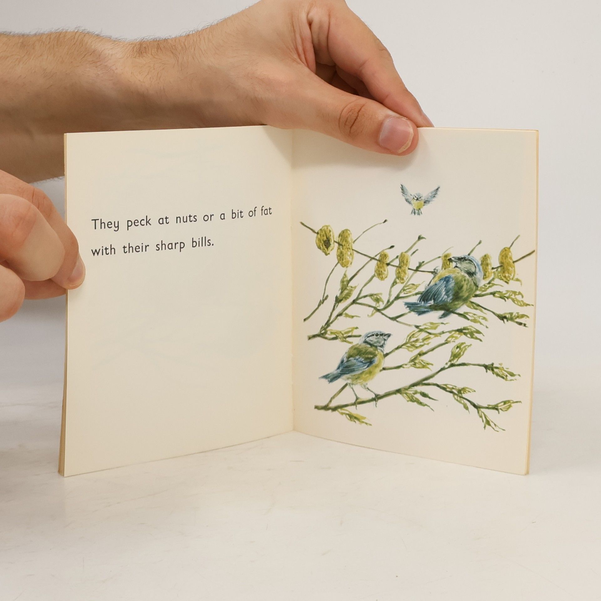 Collectif d'auteurs The Blue Tit