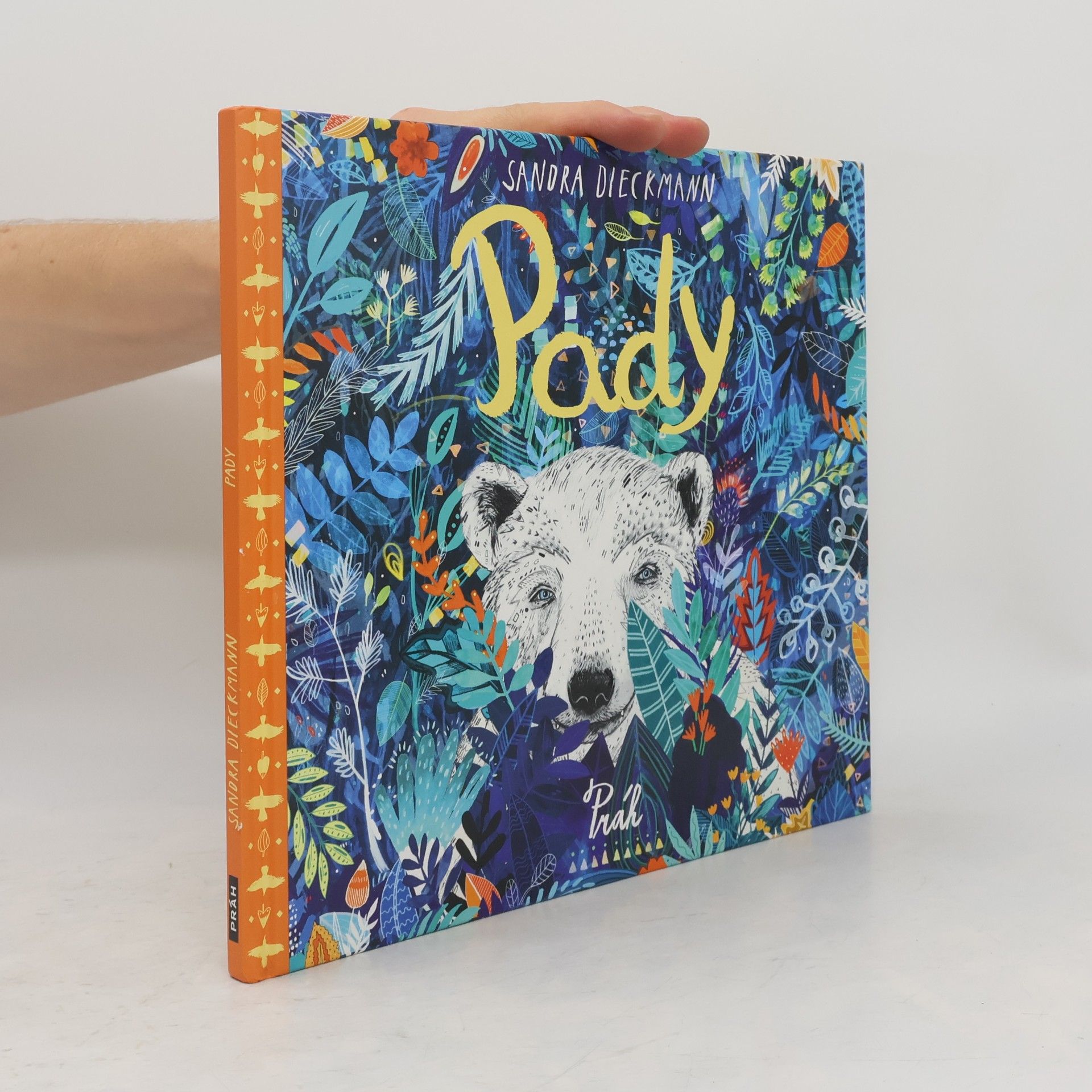 Sandra Dieckmann Pady