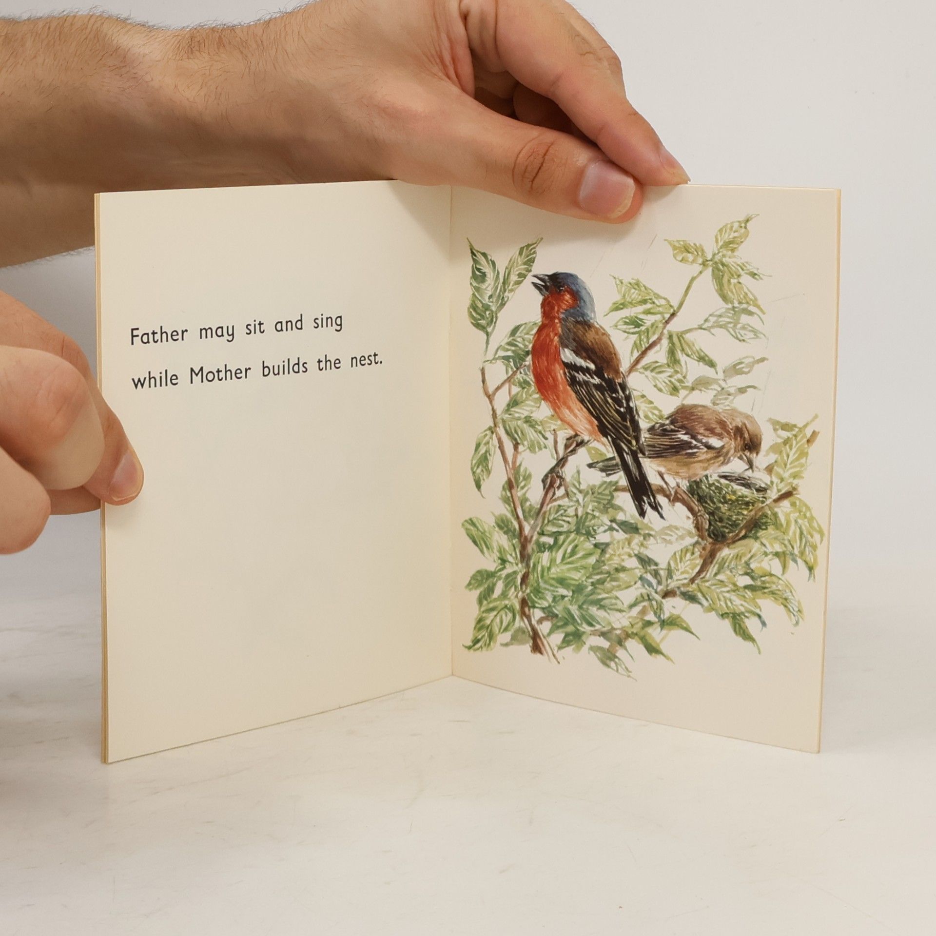 Collectif d'auteurs The Chaffinch