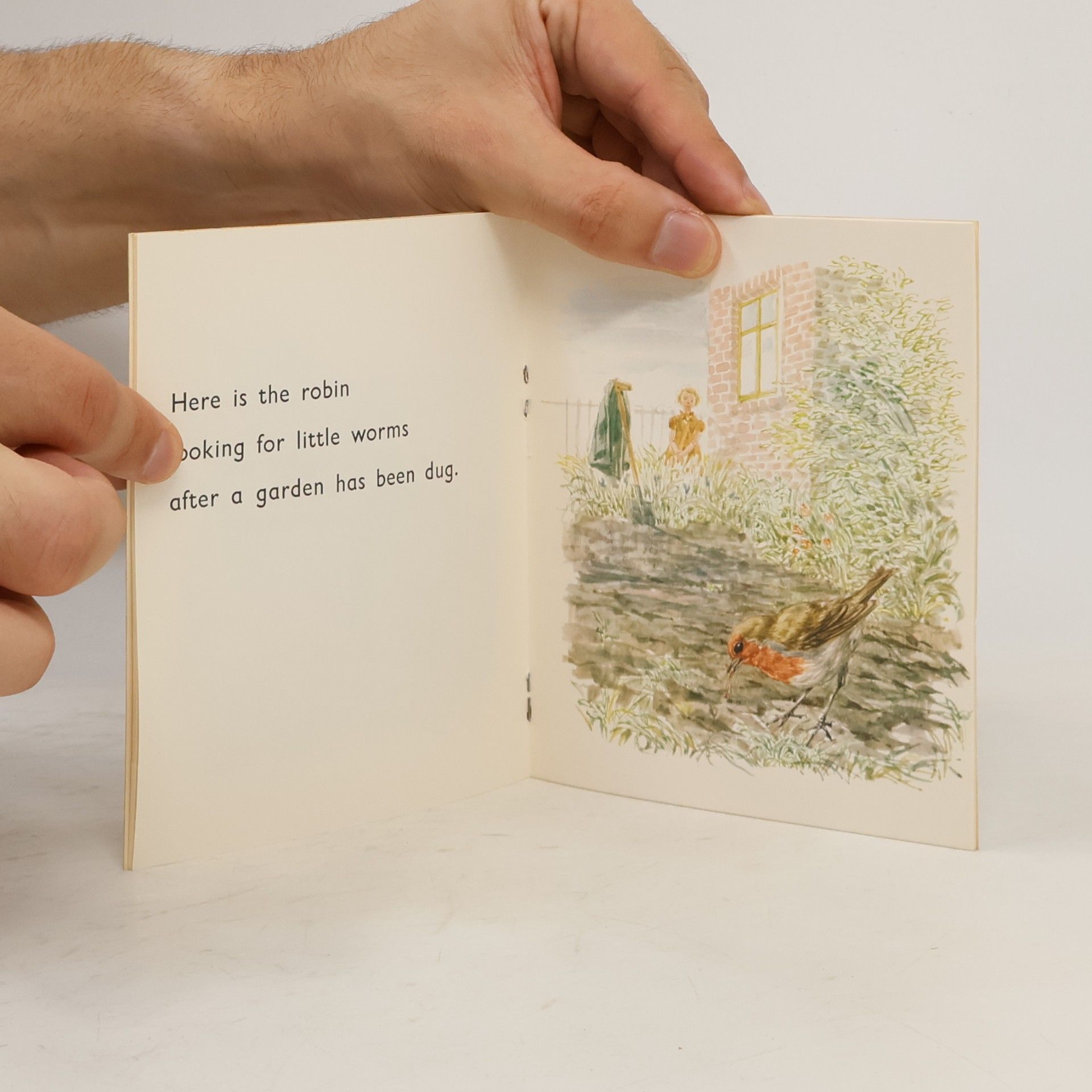 Various authors The Robin