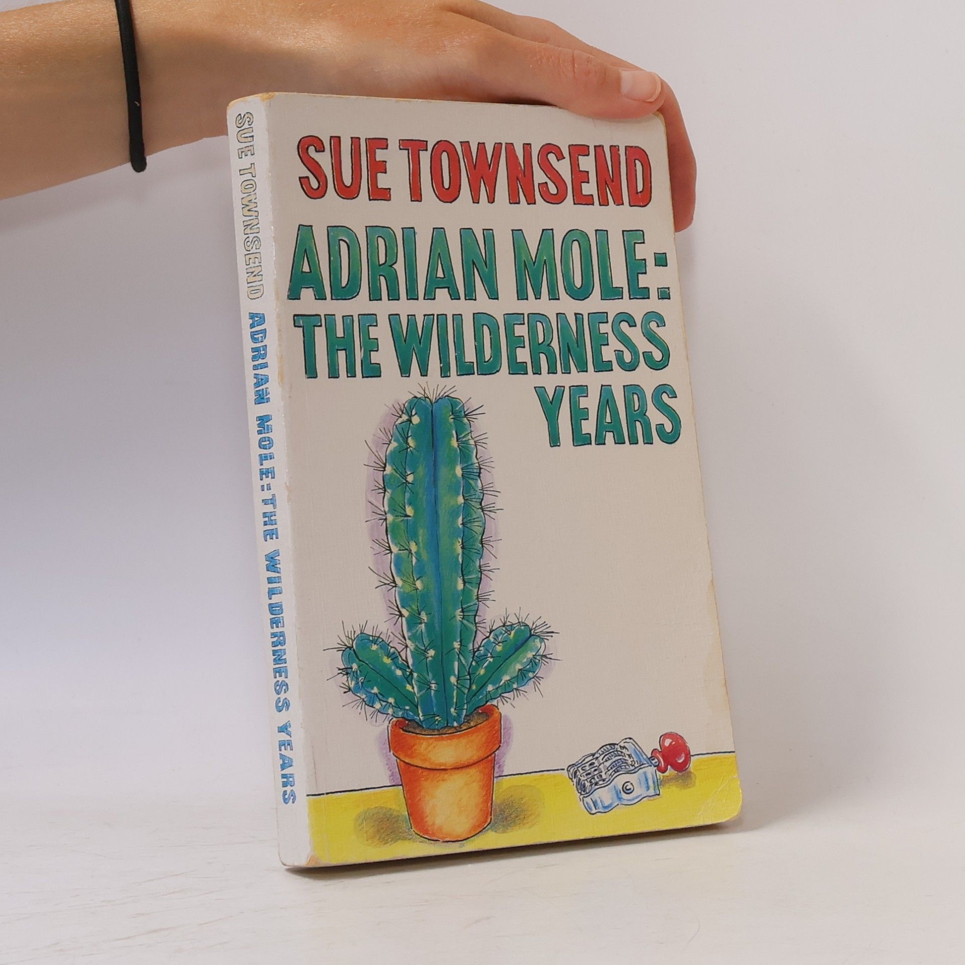 Sue Townsend Adrian Mole: The Wilderness Years