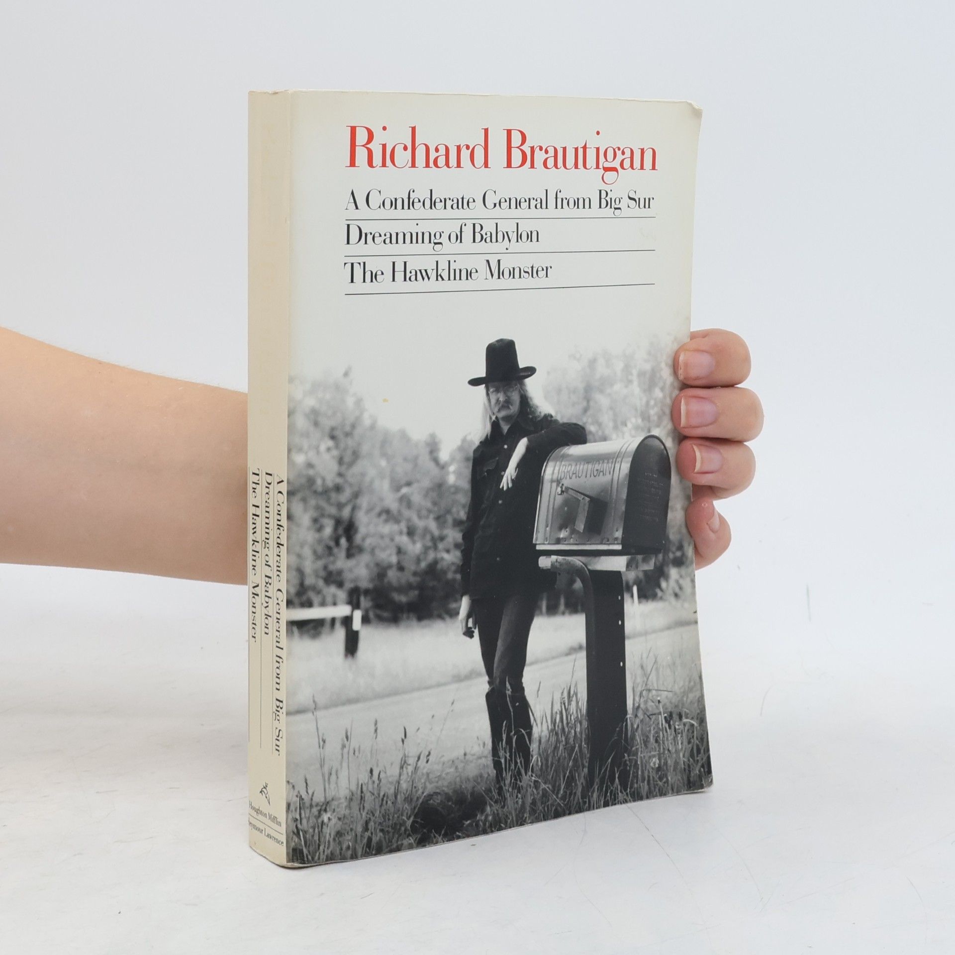 A Confederate General from Big Sur, Dreaming of Babylon, the Hawkline Monster