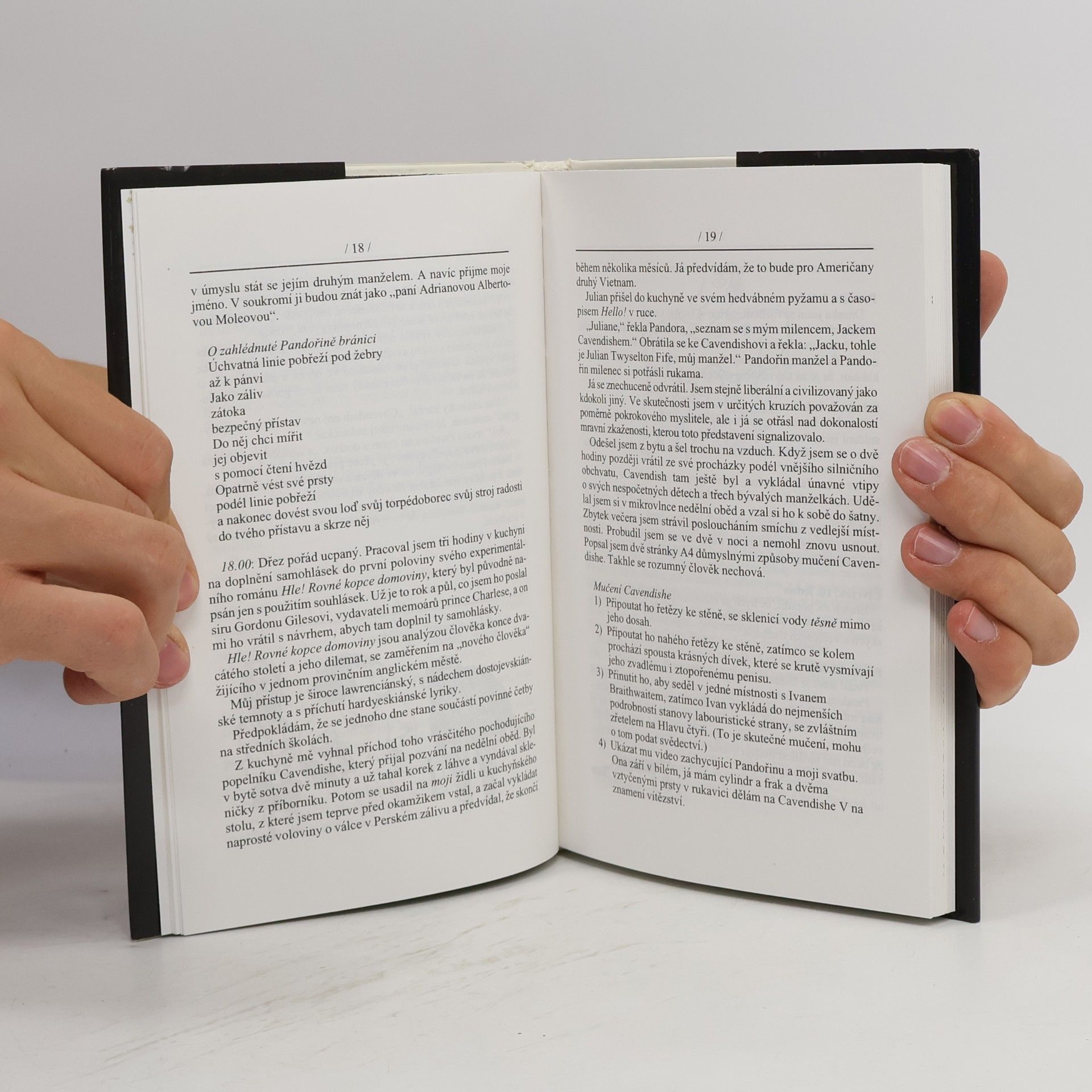 Sue Townsend Adrian Mole. Léta v divočině