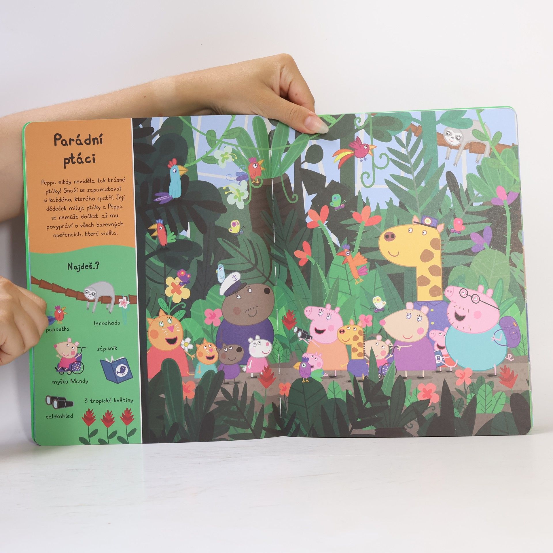 Various authors Peppa Pig - Peppa v zoo